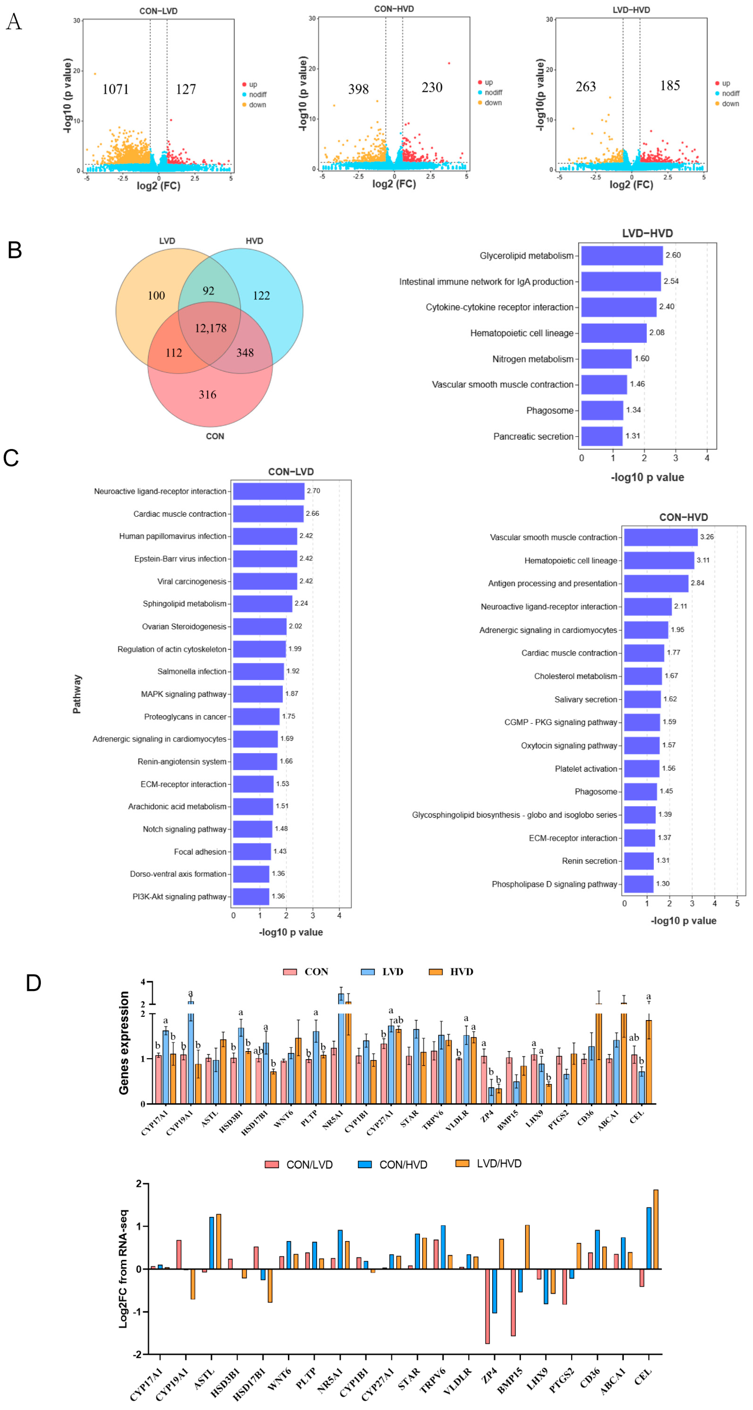Cimb 45 00256 g002 Cimb 45 00256 g002