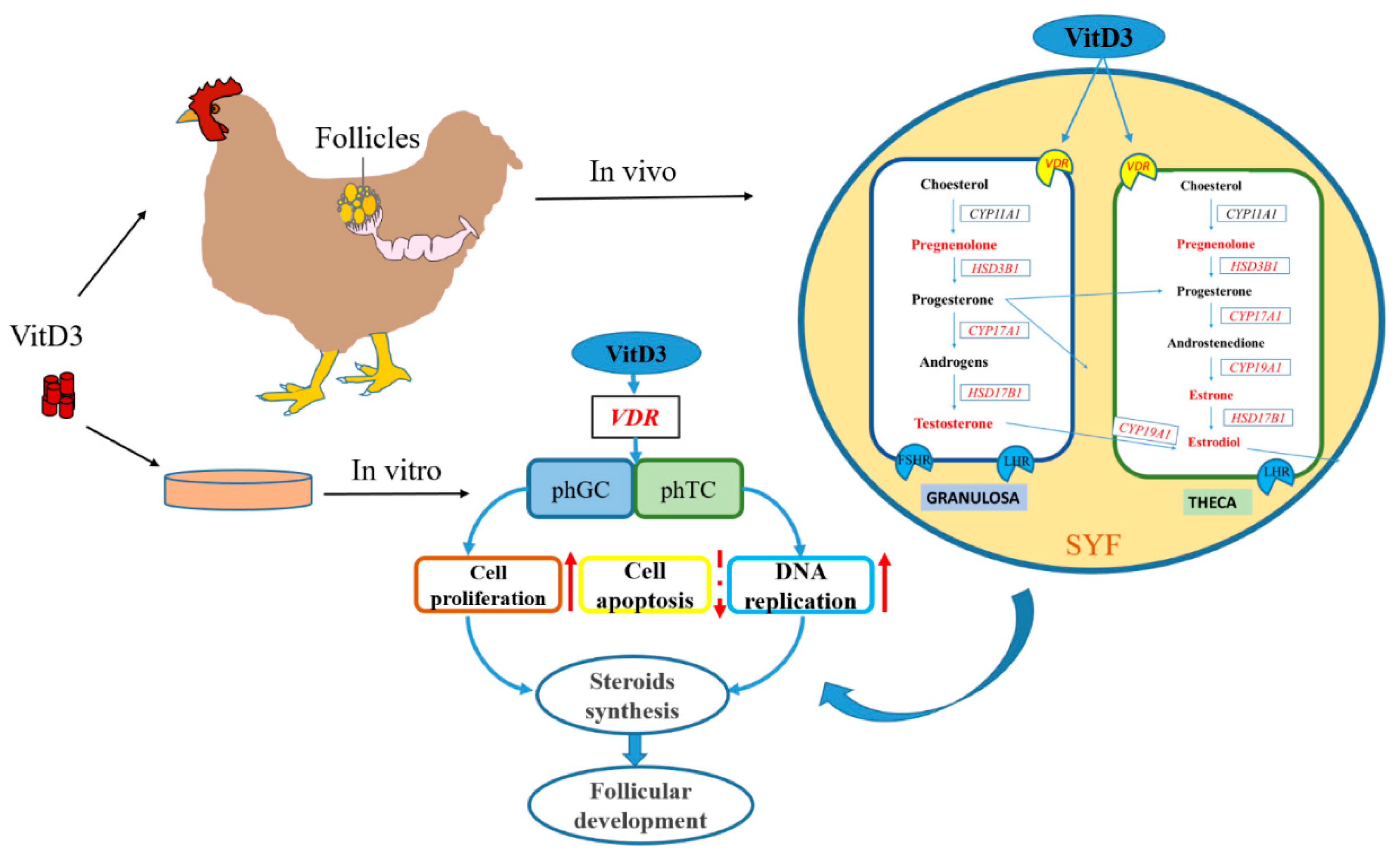 Cimb 45 00256 g007 Cimb 45 00256 g007