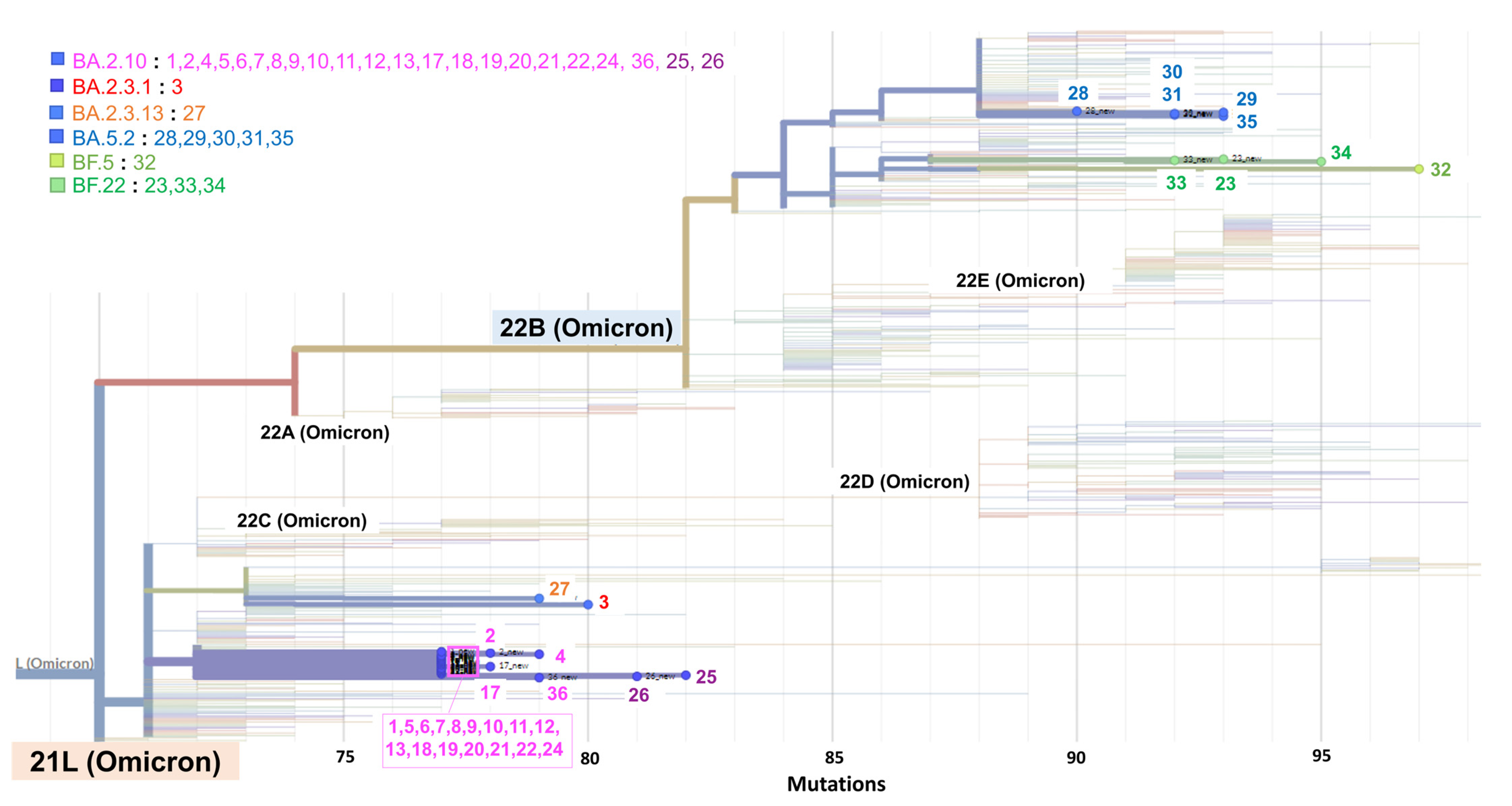 Cimb 45 00262 g003 Cimb 45 00262 g003