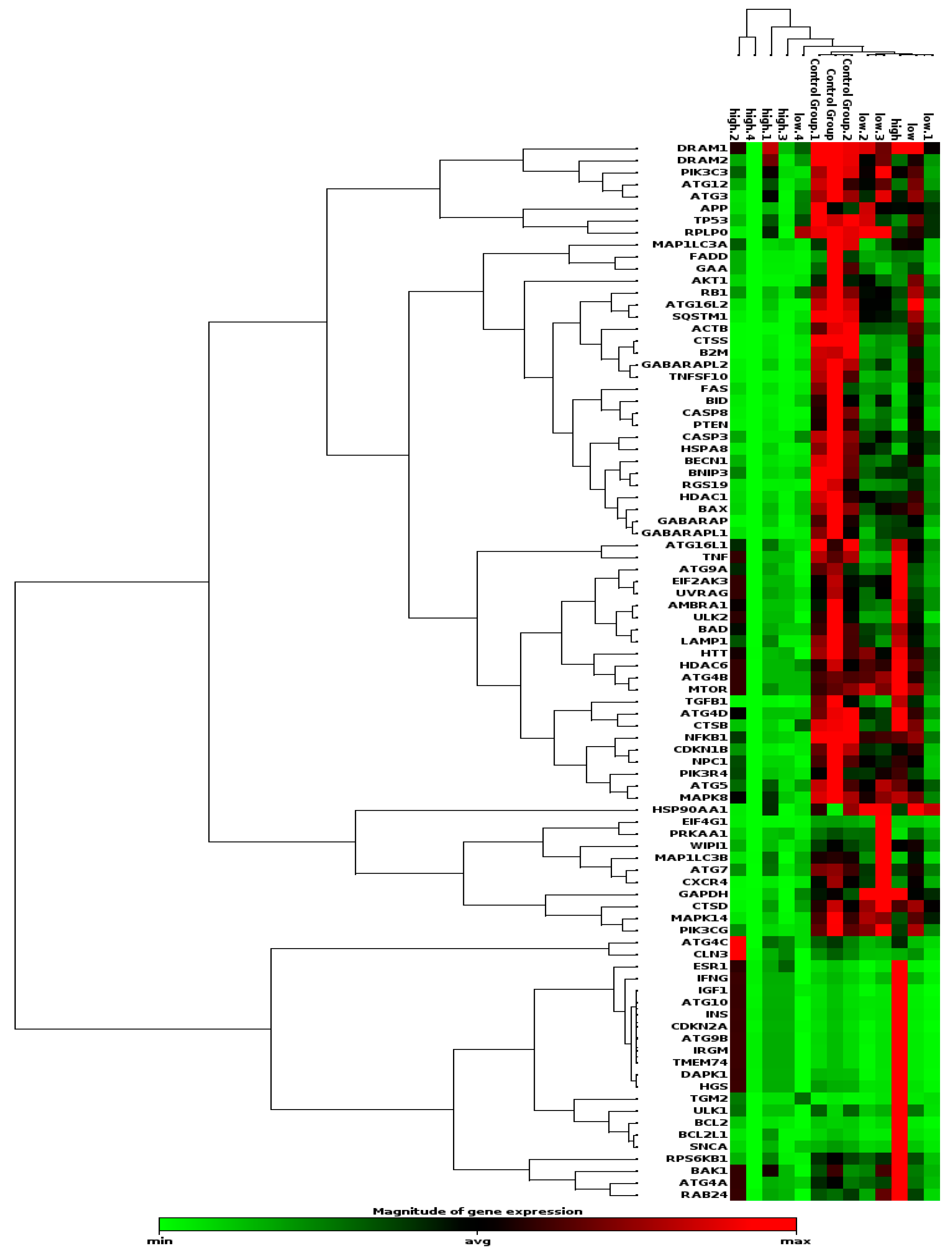 Cimb 45 00263 g002 Cimb 45 00263 g002