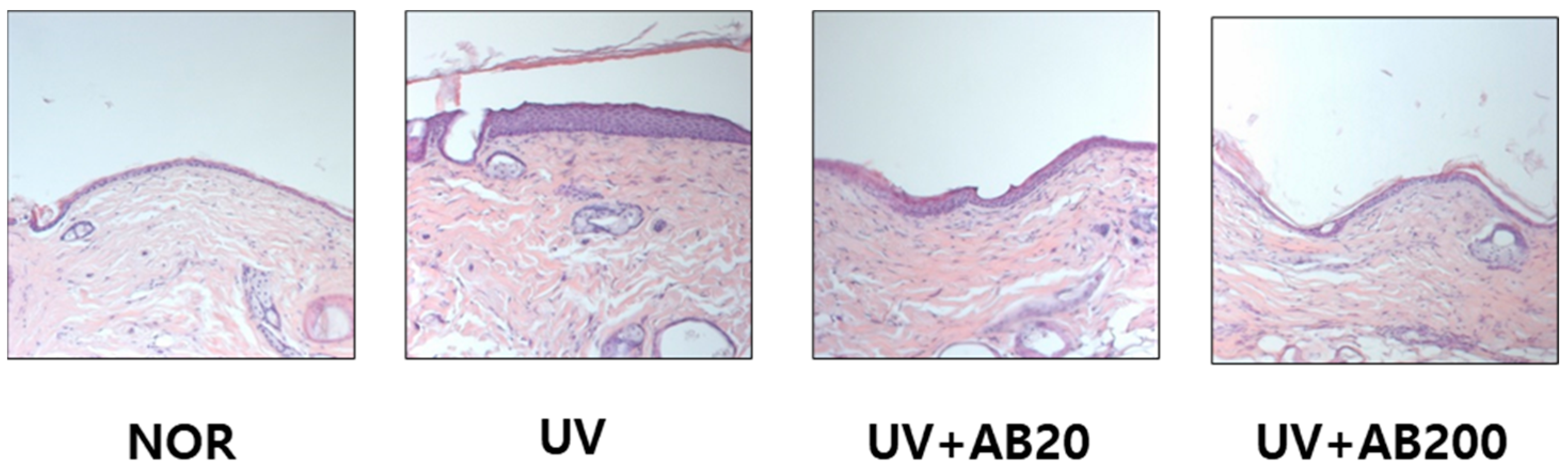 Cimb 45 00266 g003 Cimb 45 00266 g003