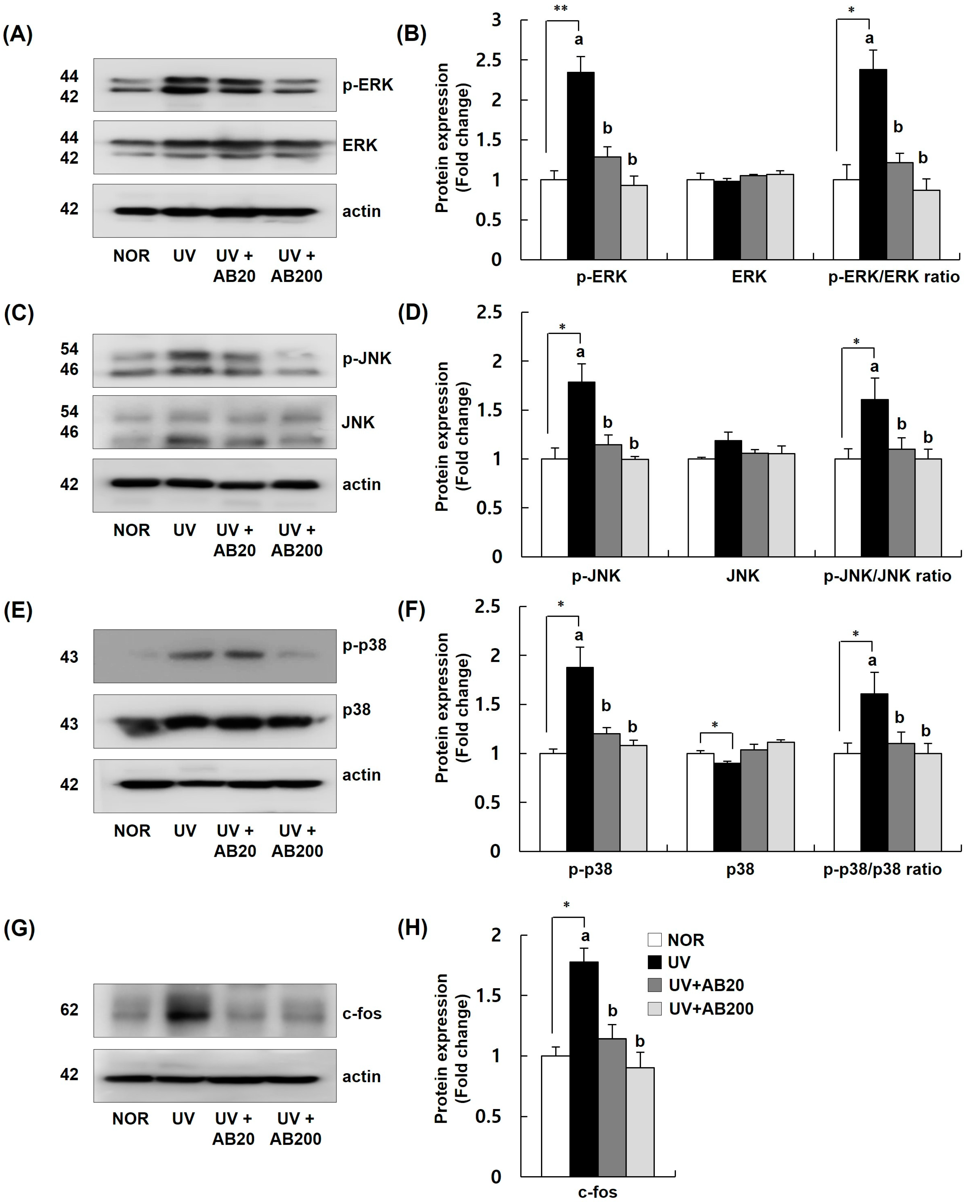 Cimb 45 00266 g007 Cimb 45 00266 g007
