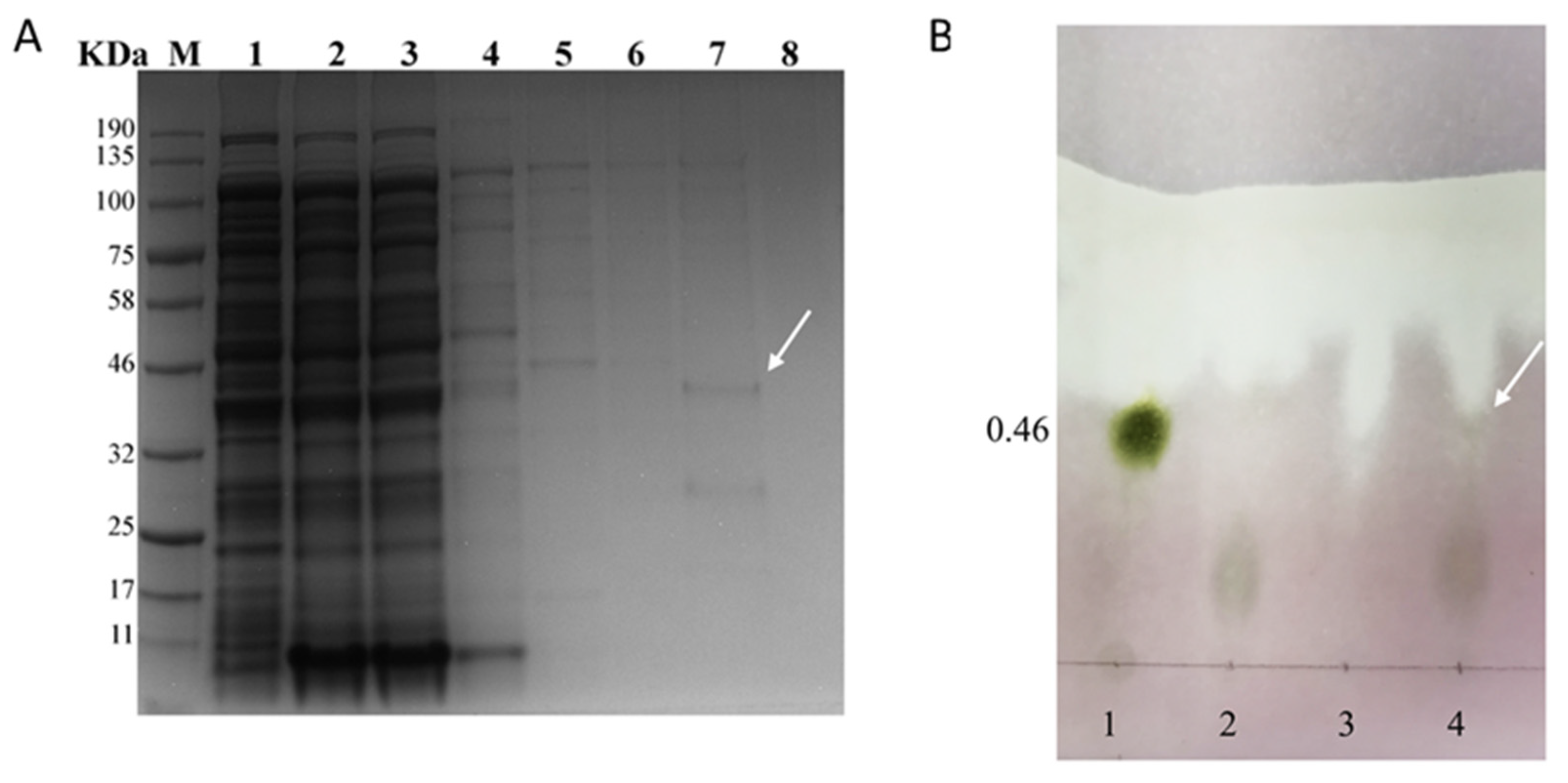 Cimb 45 00267 g006 Cimb 45 00267 g006