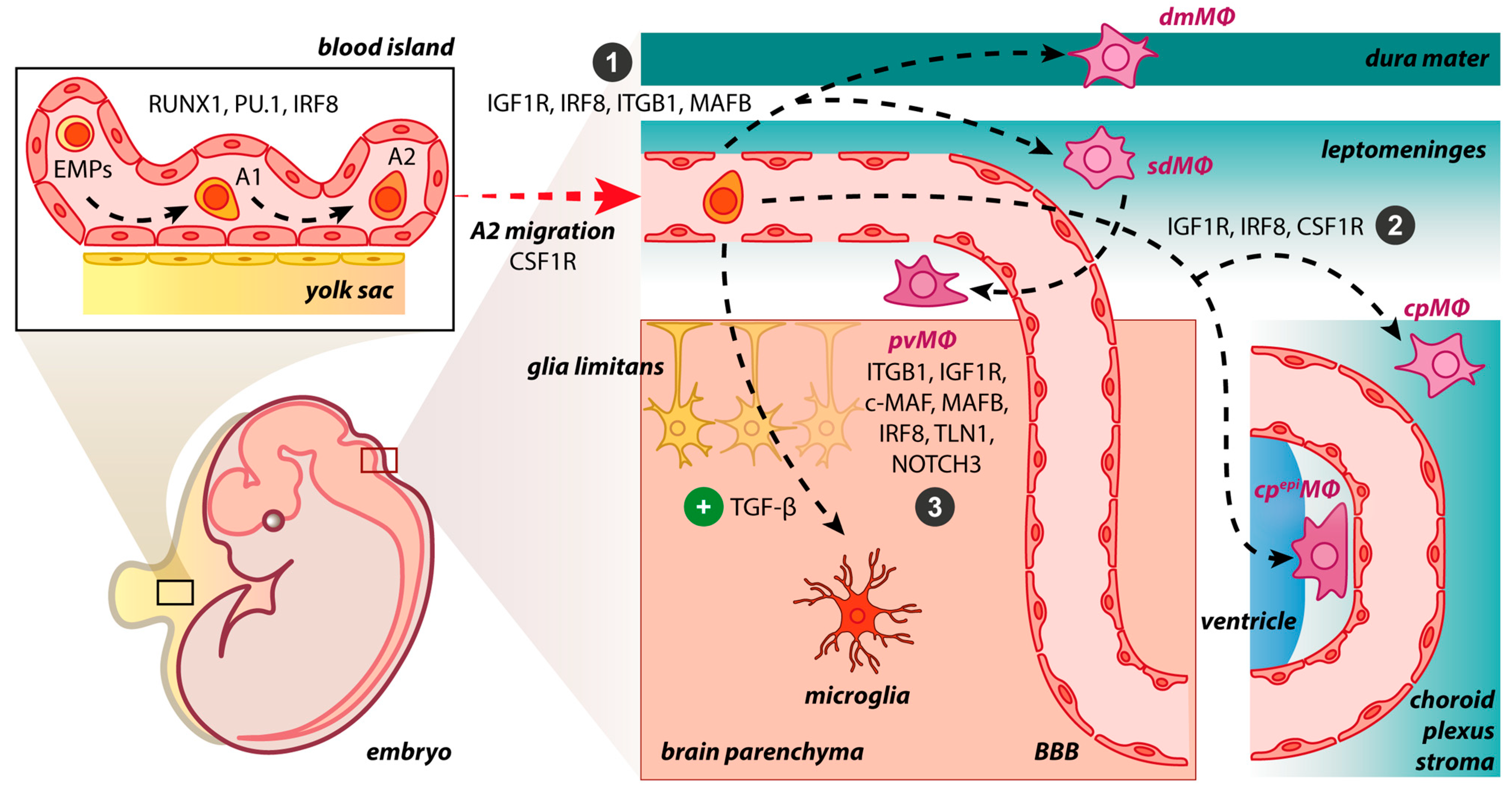 Cimb 45 00272 g001 Cimb 45 00272 g001