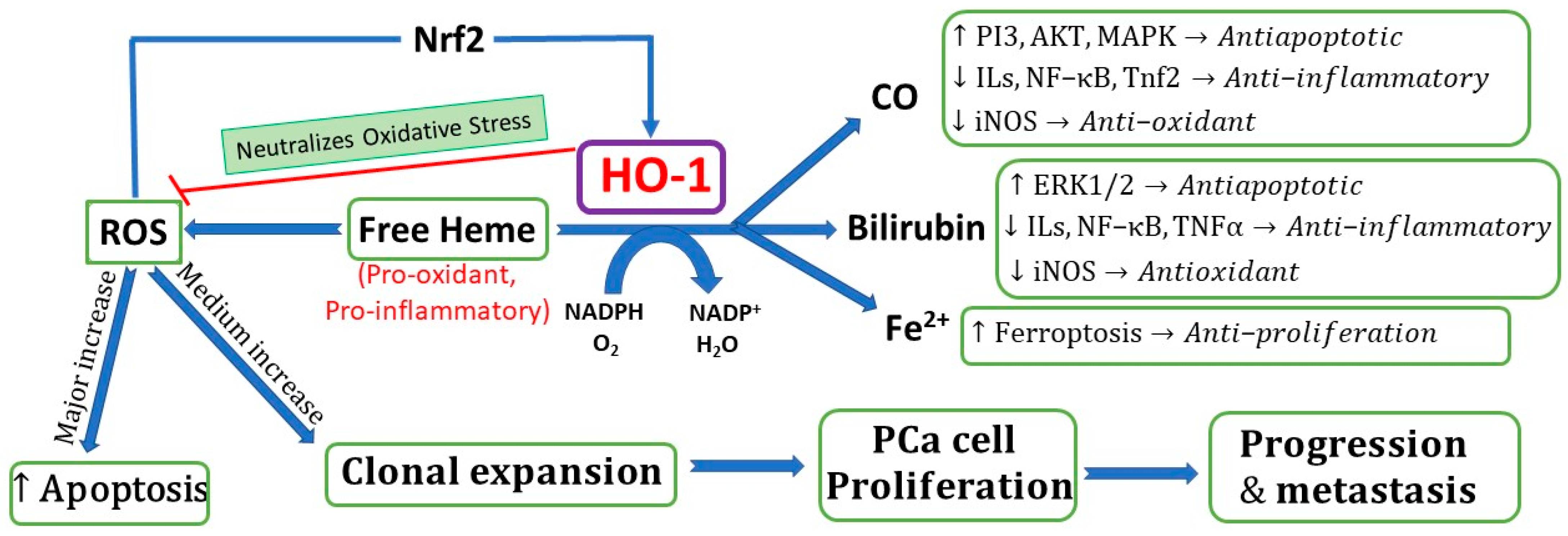 Cimb 45 00273 g001 Cimb 45 00273 g001