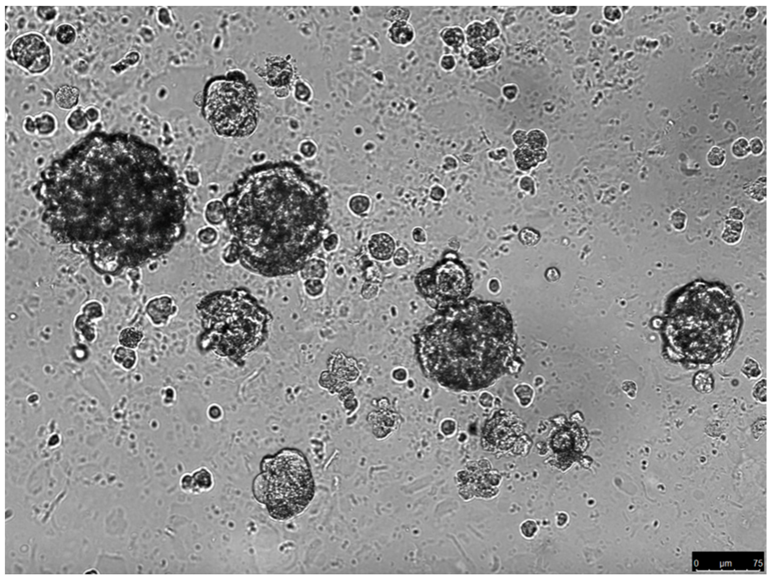 Cimb 45 00276 g001 Cimb 45 00276 g001