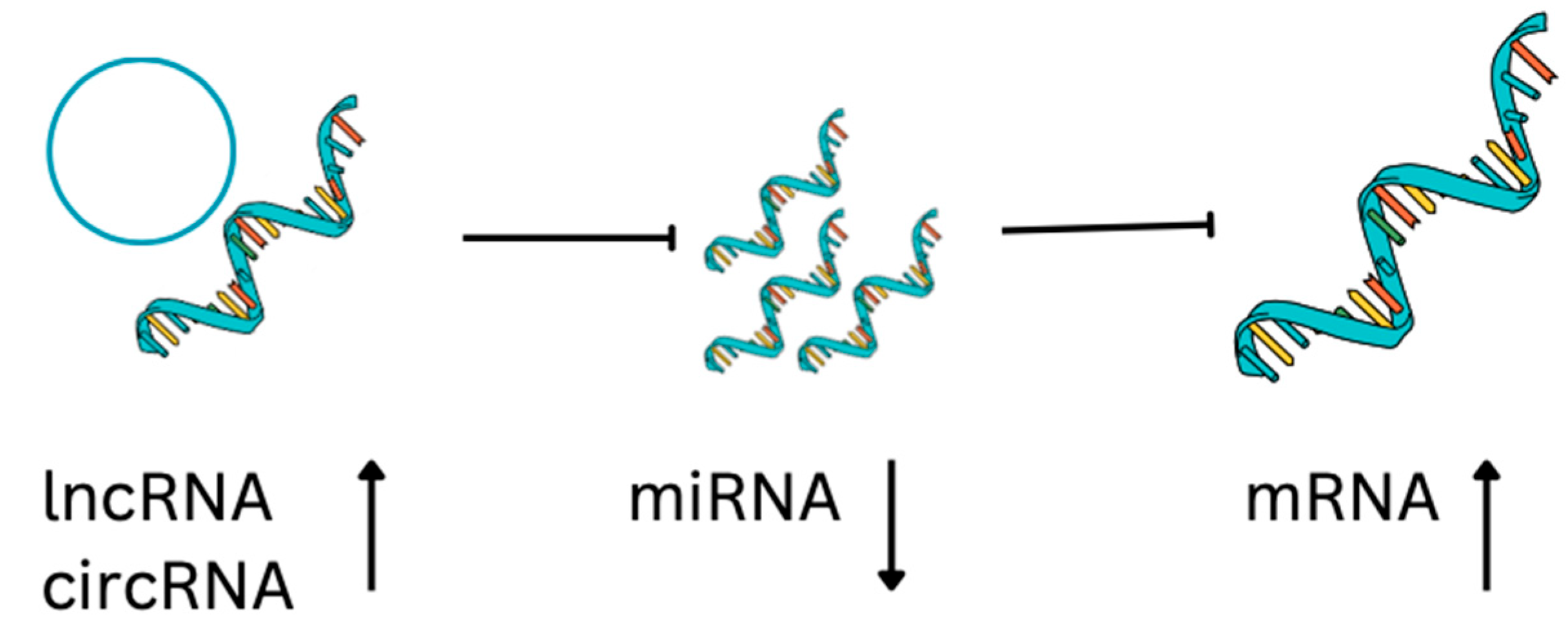 Cimb 45 00276 g002 Cimb 45 00276 g002