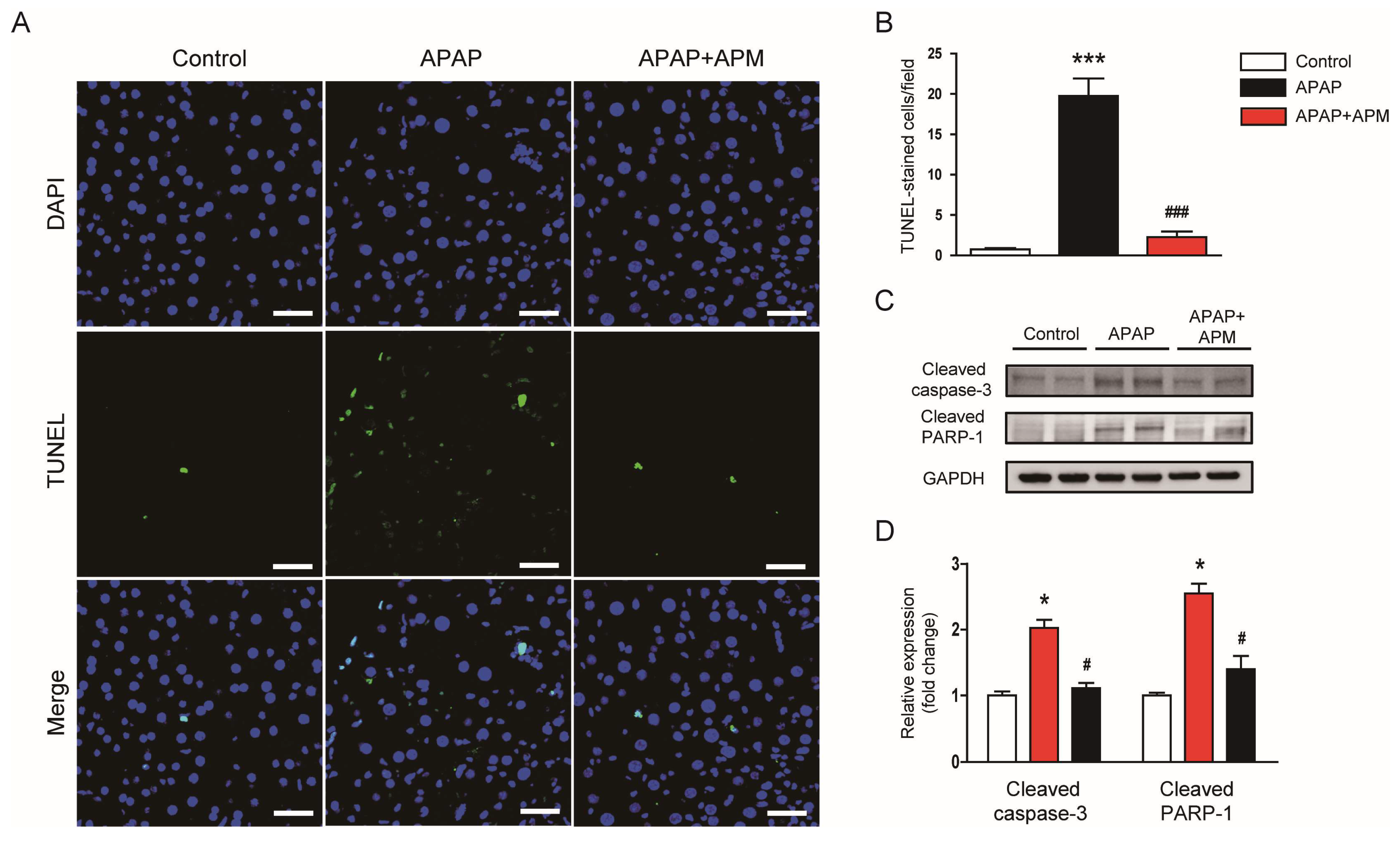 Cimb 45 00279 g004 Cimb 45 00279 g004