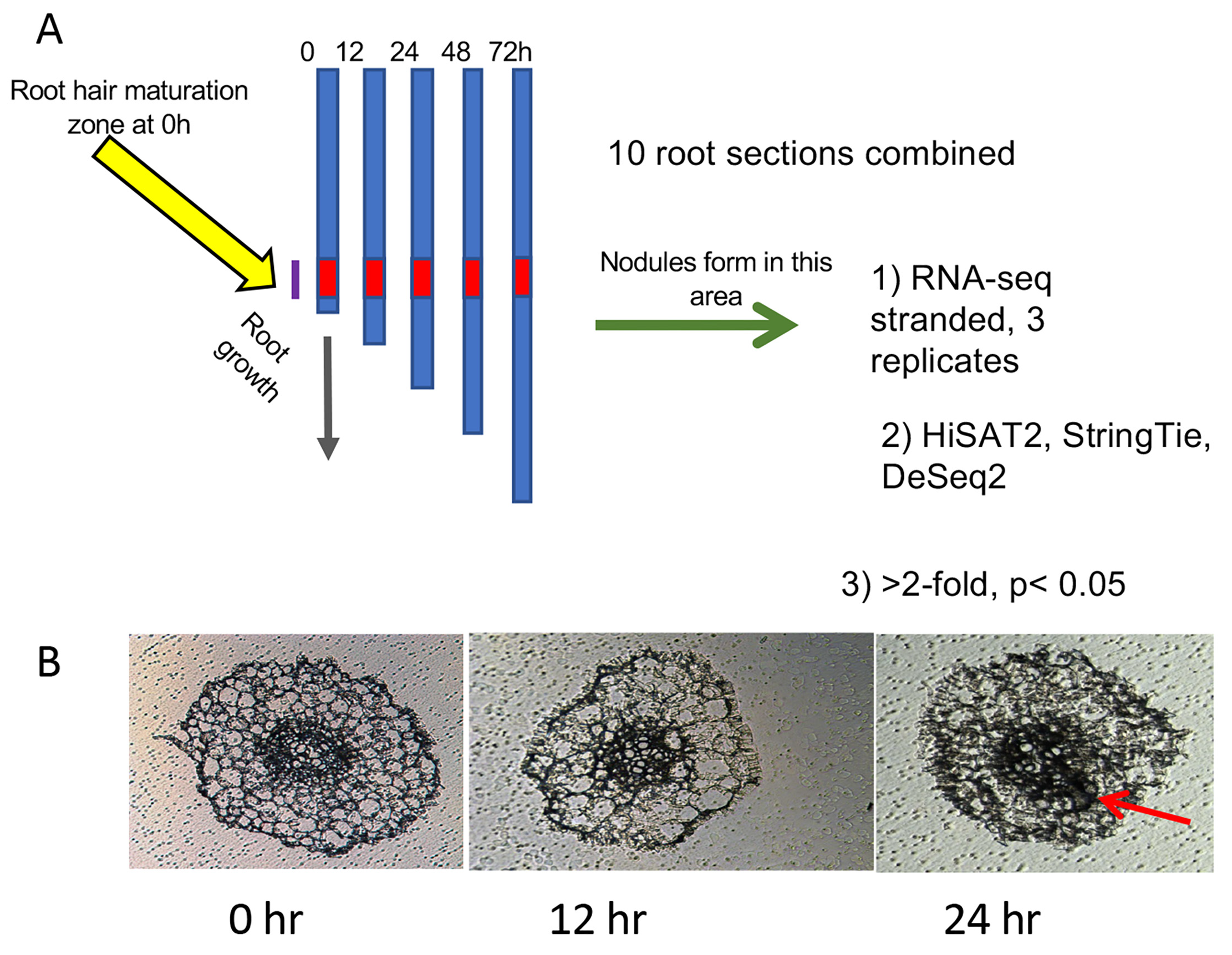 Cimb 45 00293 g001 Cimb 45 00293 g001