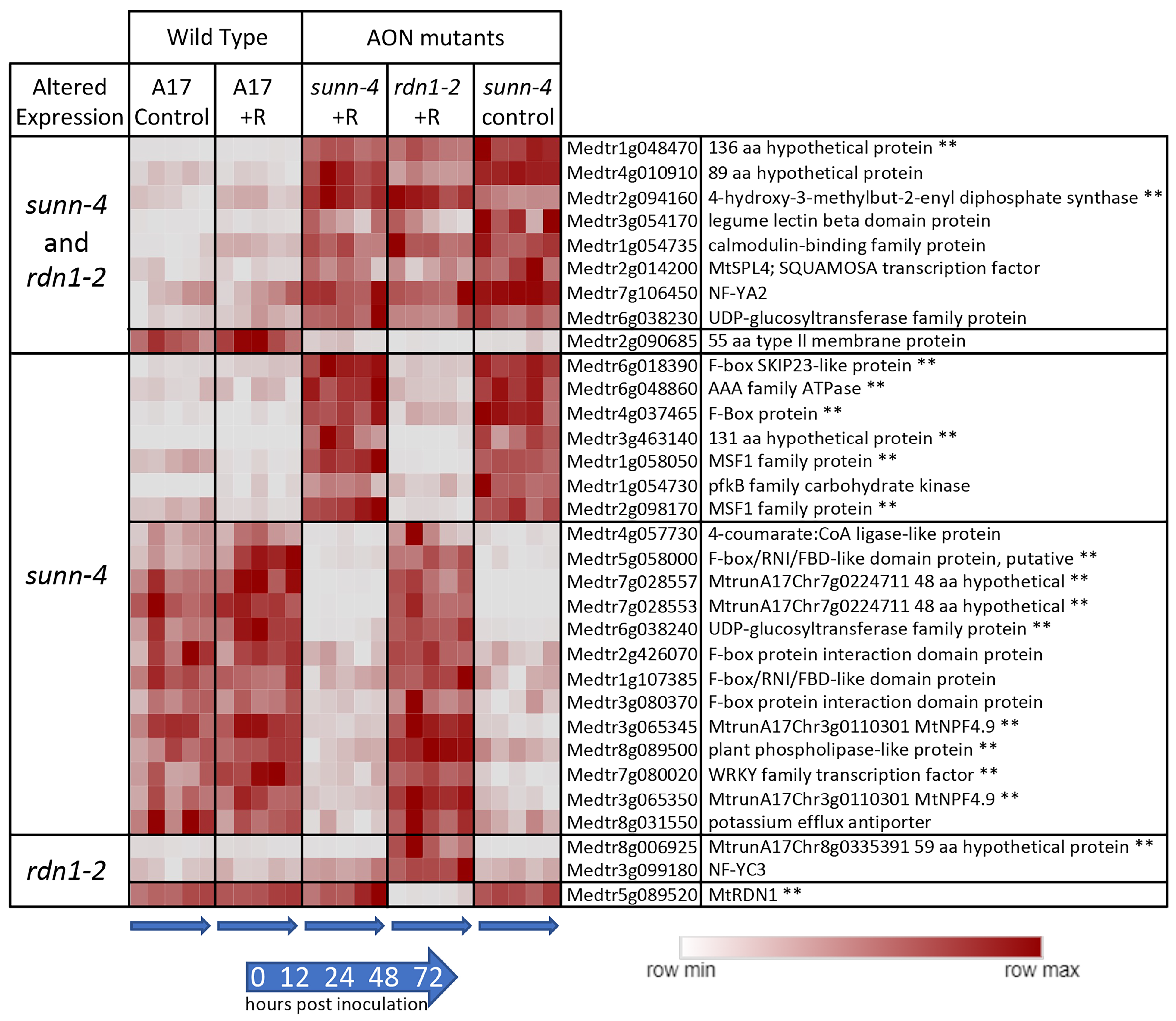 Cimb 45 00293 g002 Cimb 45 00293 g002