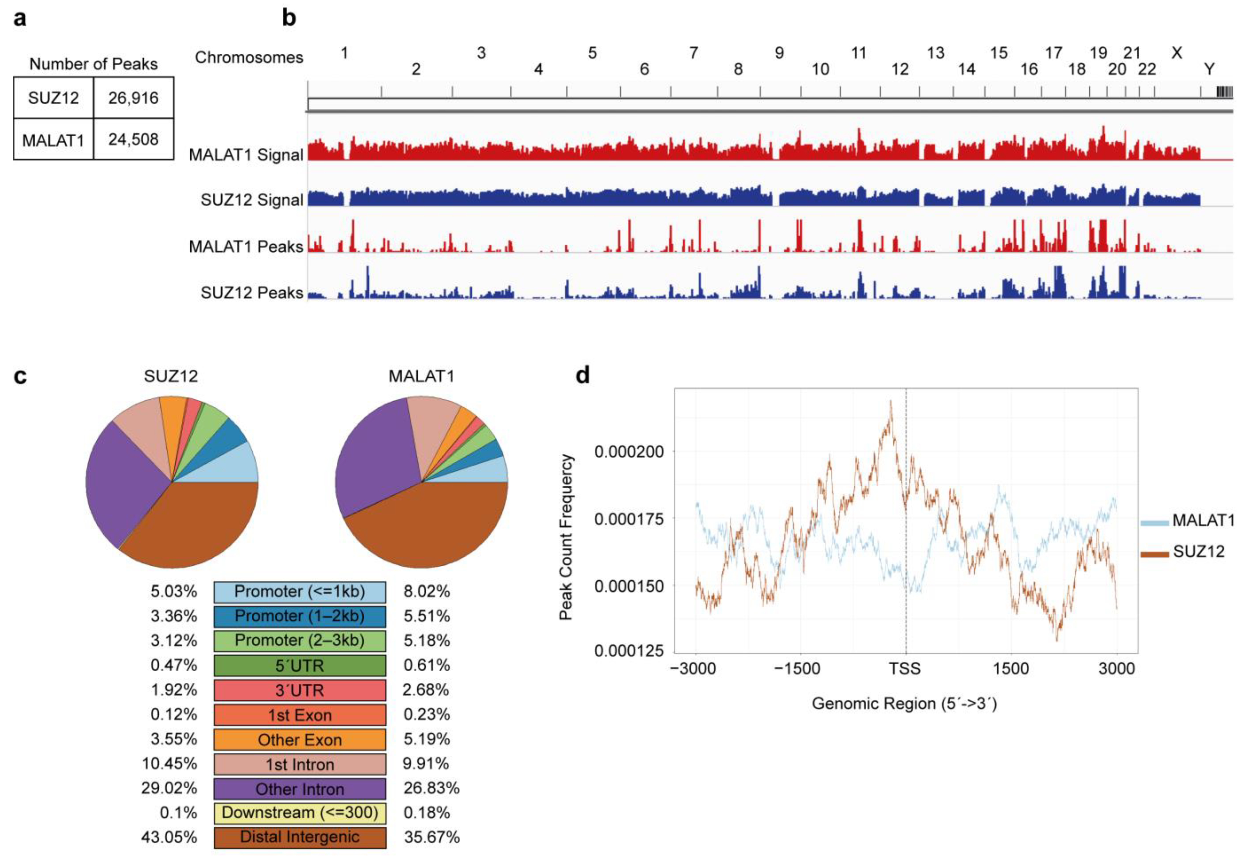 Cimb 45 00301 g001 Cimb 45 00301 g001