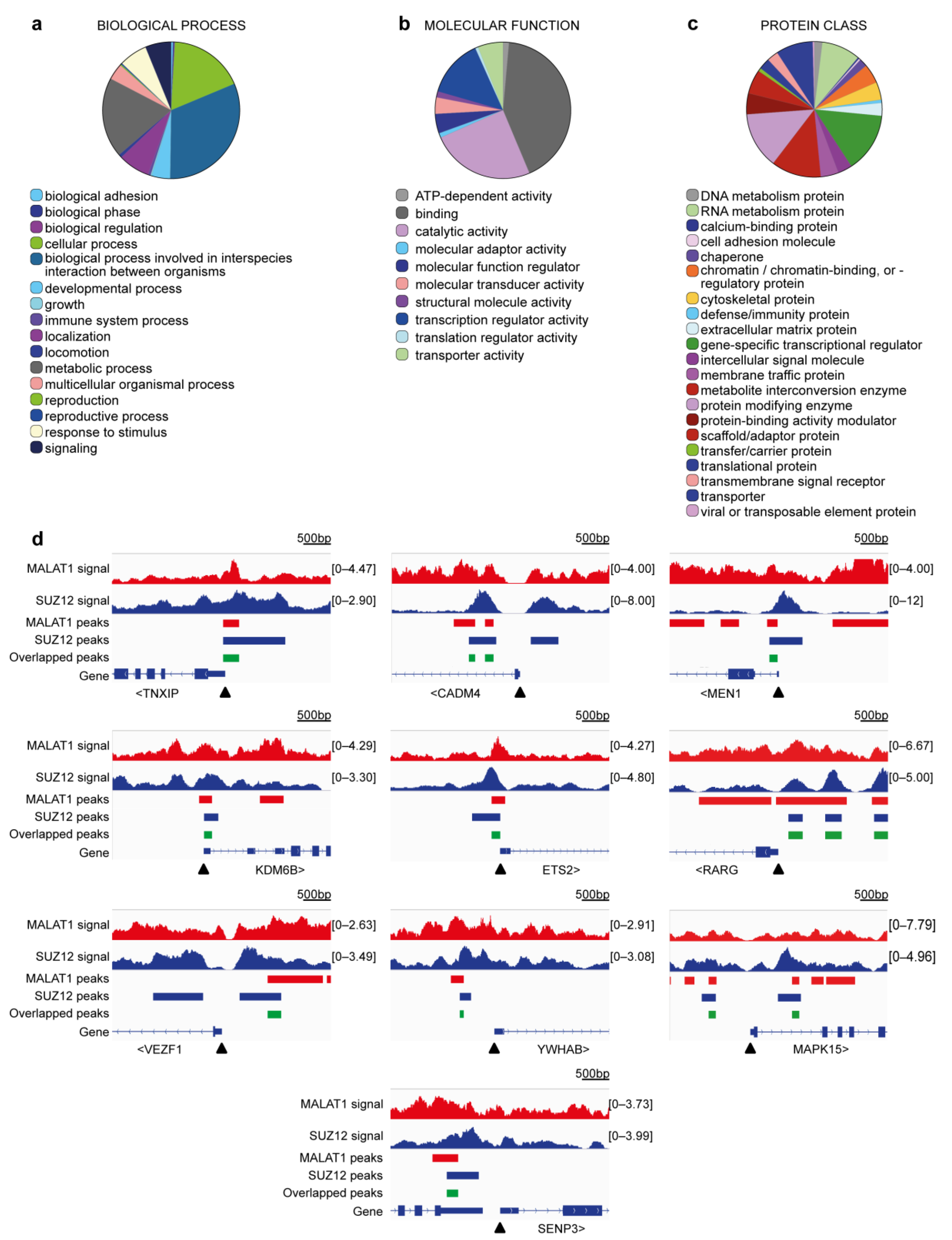 Cimb 45 00301 g003 Cimb 45 00301 g003