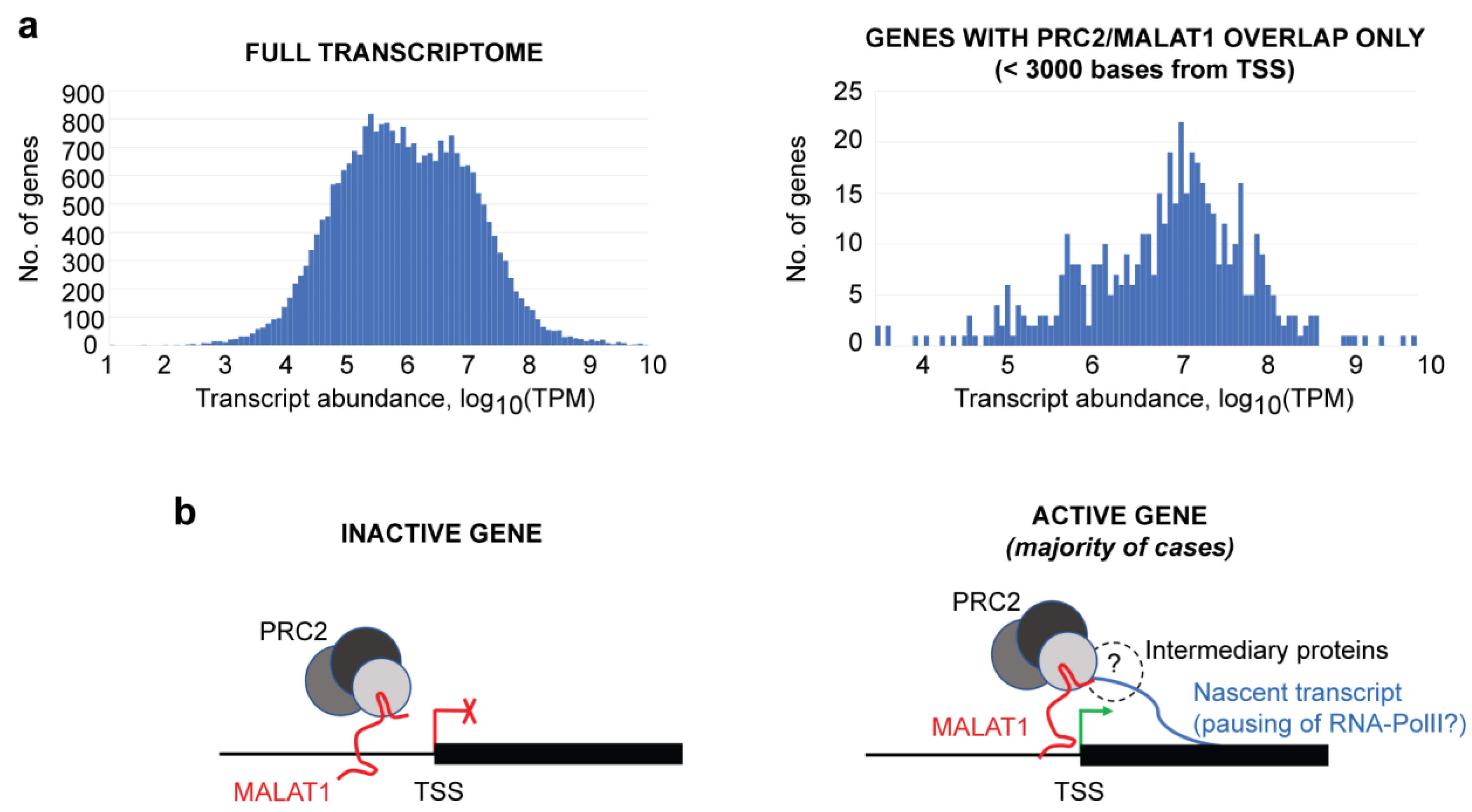 Cimb 45 00301 g004 Cimb 45 00301 g004