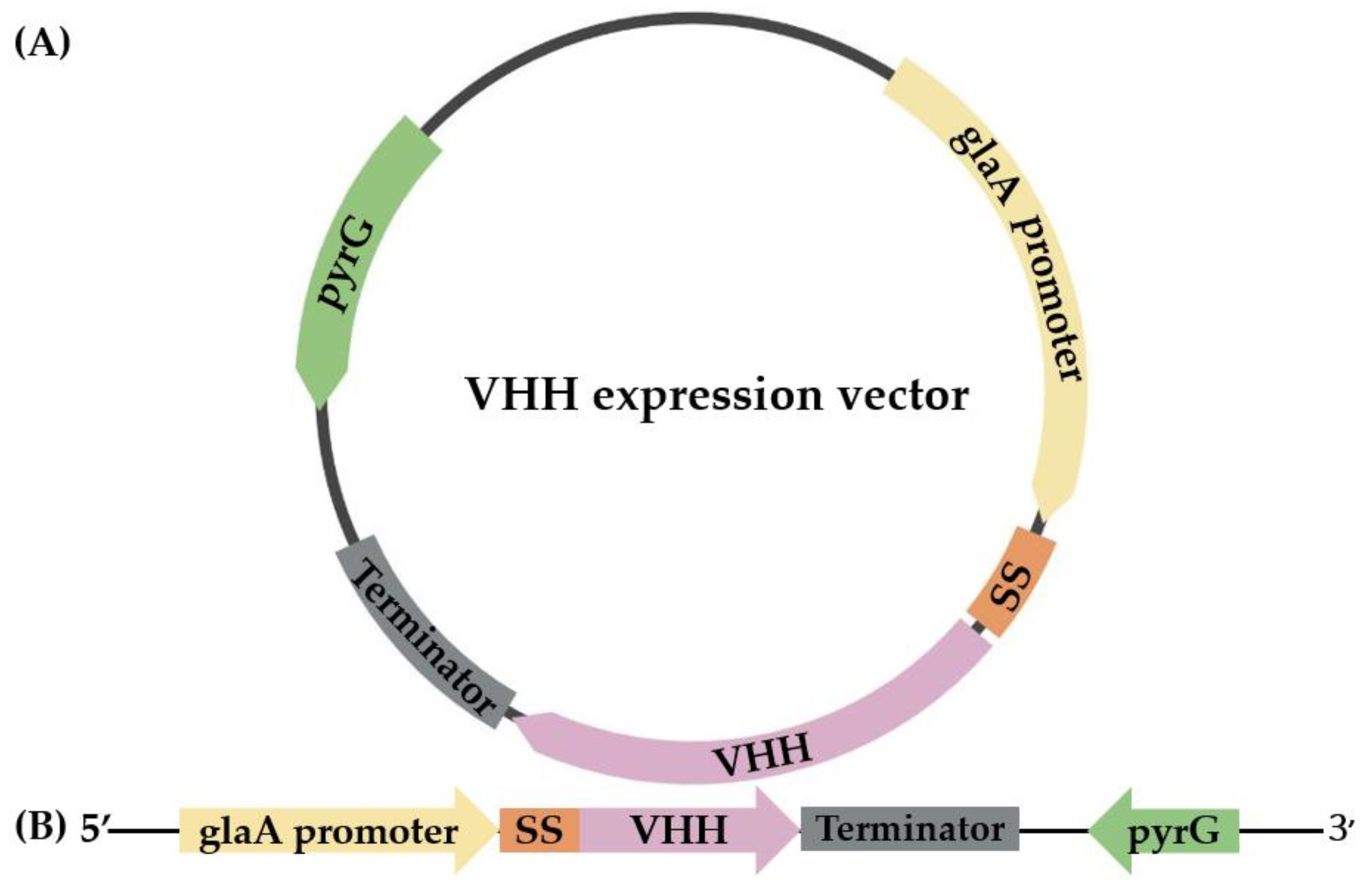 Cimb 45 00304 g001 Cimb 45 00304 g001