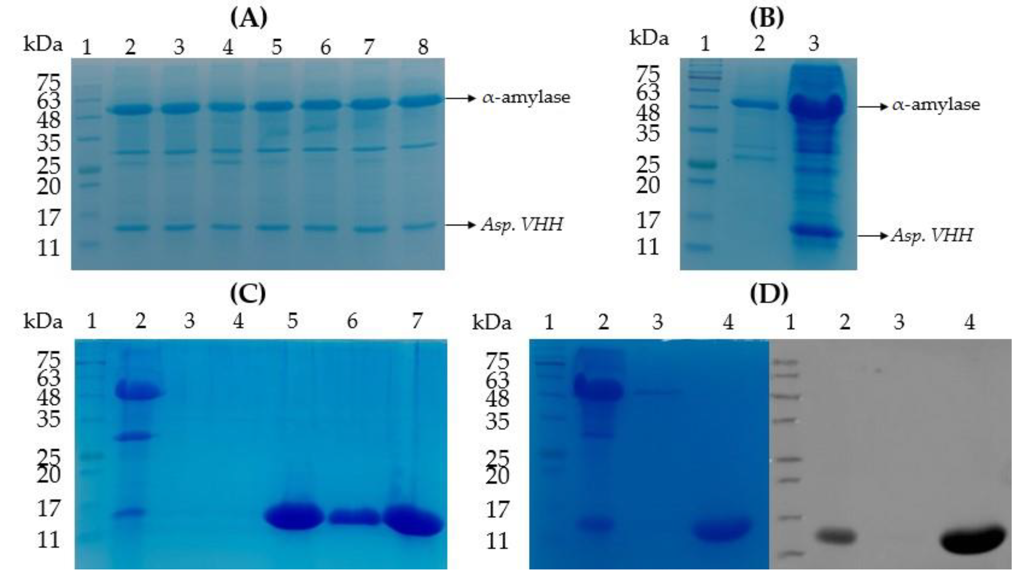 Cimb 45 00304 g004 Cimb 45 00304 g004