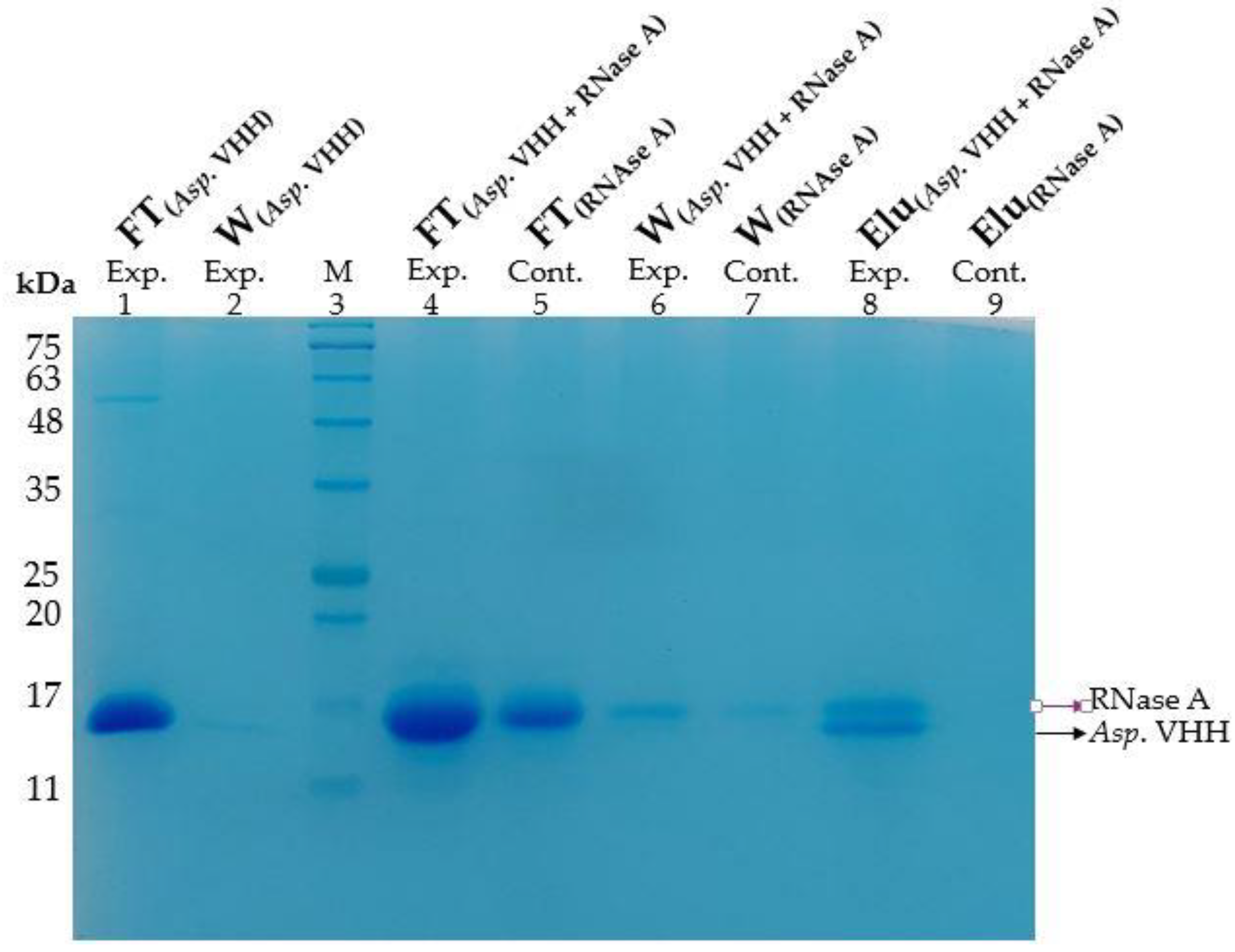 Cimb 45 00304 g006 Cimb 45 00304 g006