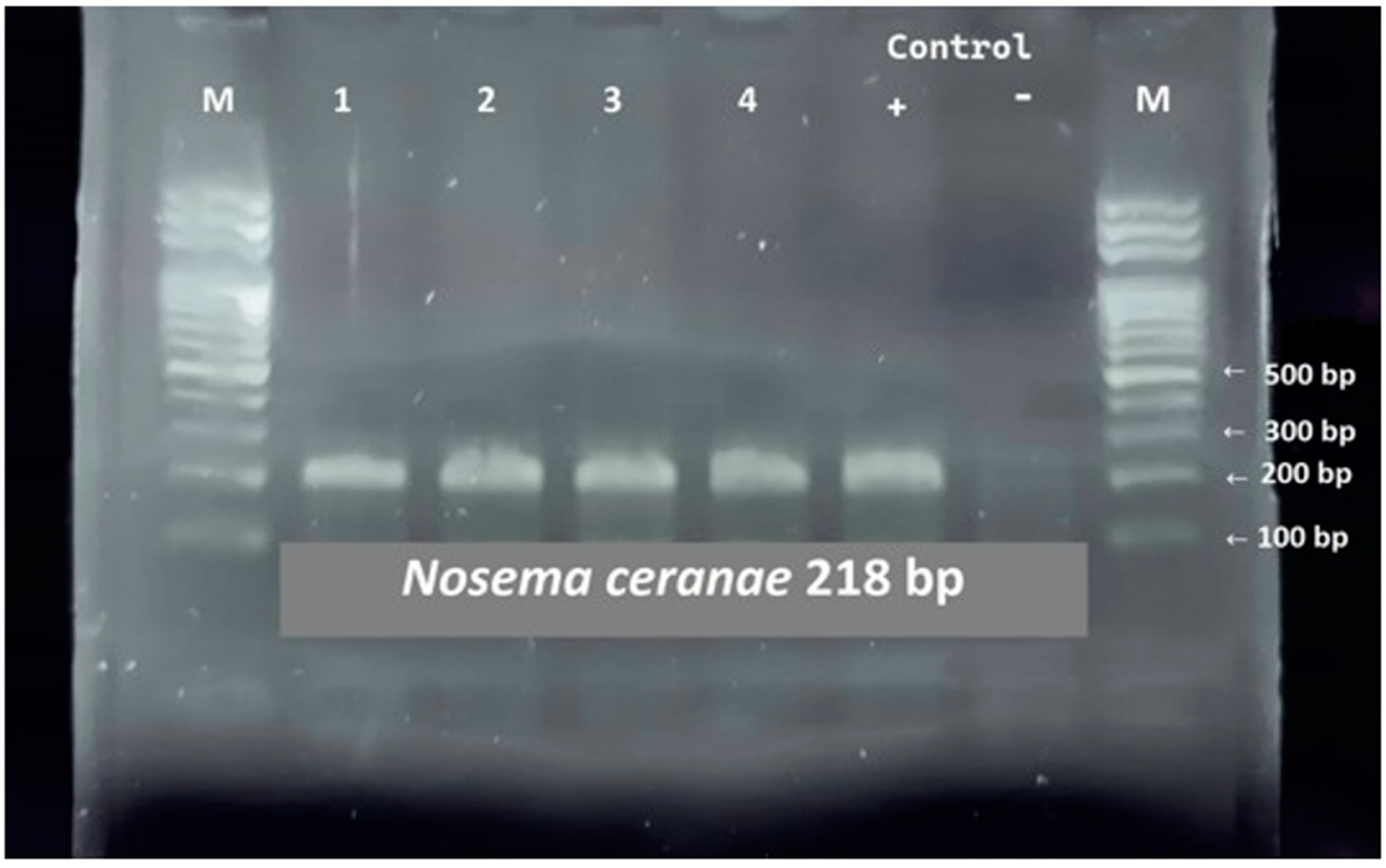 Cimb 45 00306 g001 Cimb 45 00306 g001