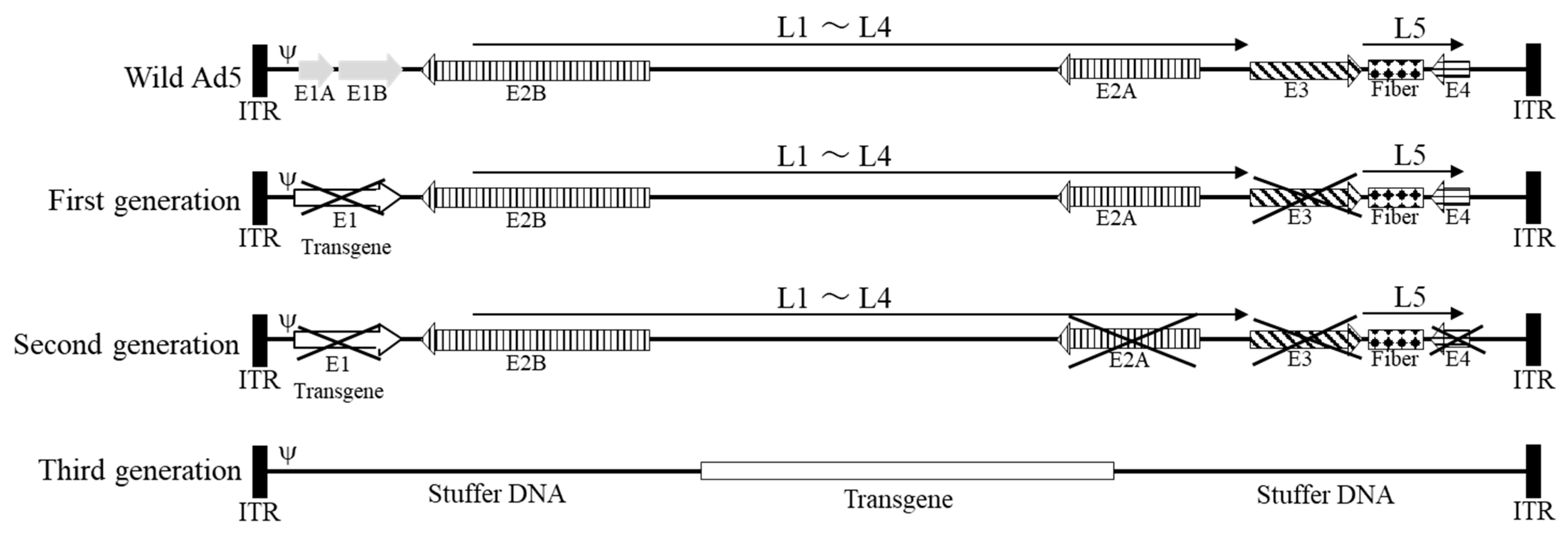 Cimb 45 00307 g001 Cimb 45 00307 g001