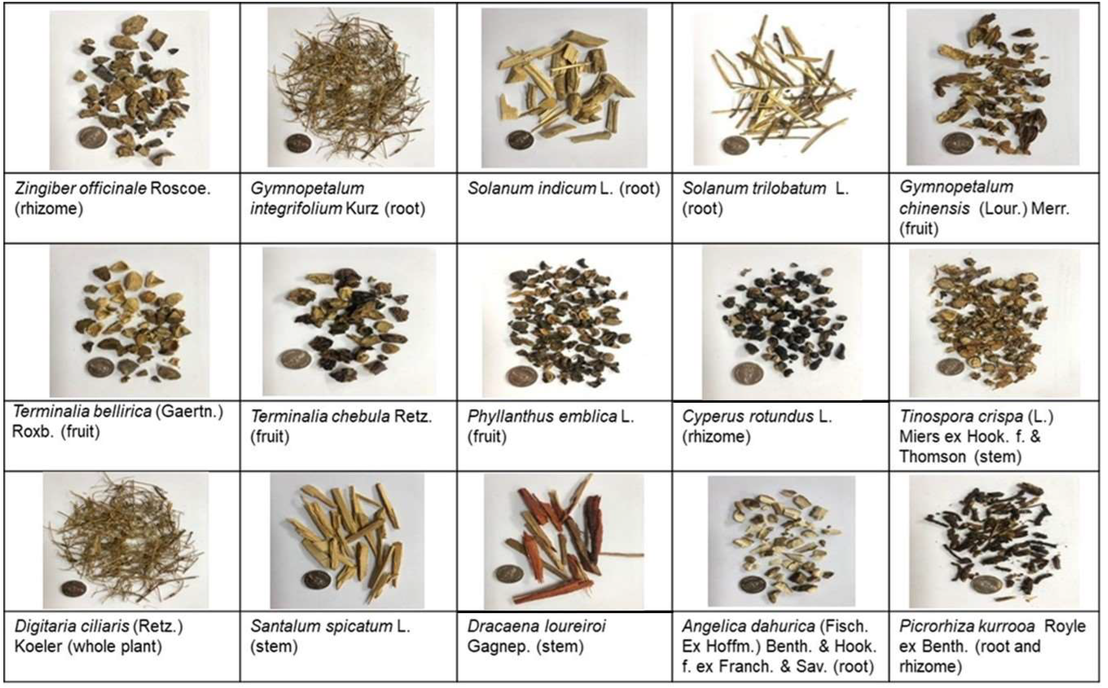 An Evaluation of the Anti-Inflammatory Effects of a Thai Traditional Polyherbal Recipe TPDM6315 in LPS-Induced RAW264.7 Macrophages and TNF-α-Induced 3T3-L1 Adipocytes An Evaluation of the Anti-Inflammatory Effects of a Thai Traditional Polyherbal Recipe TPDM6315 in LPS-Induced RAW264.7 Macrophages and TNF-α-Induced 3T3-L1 Adipocytes