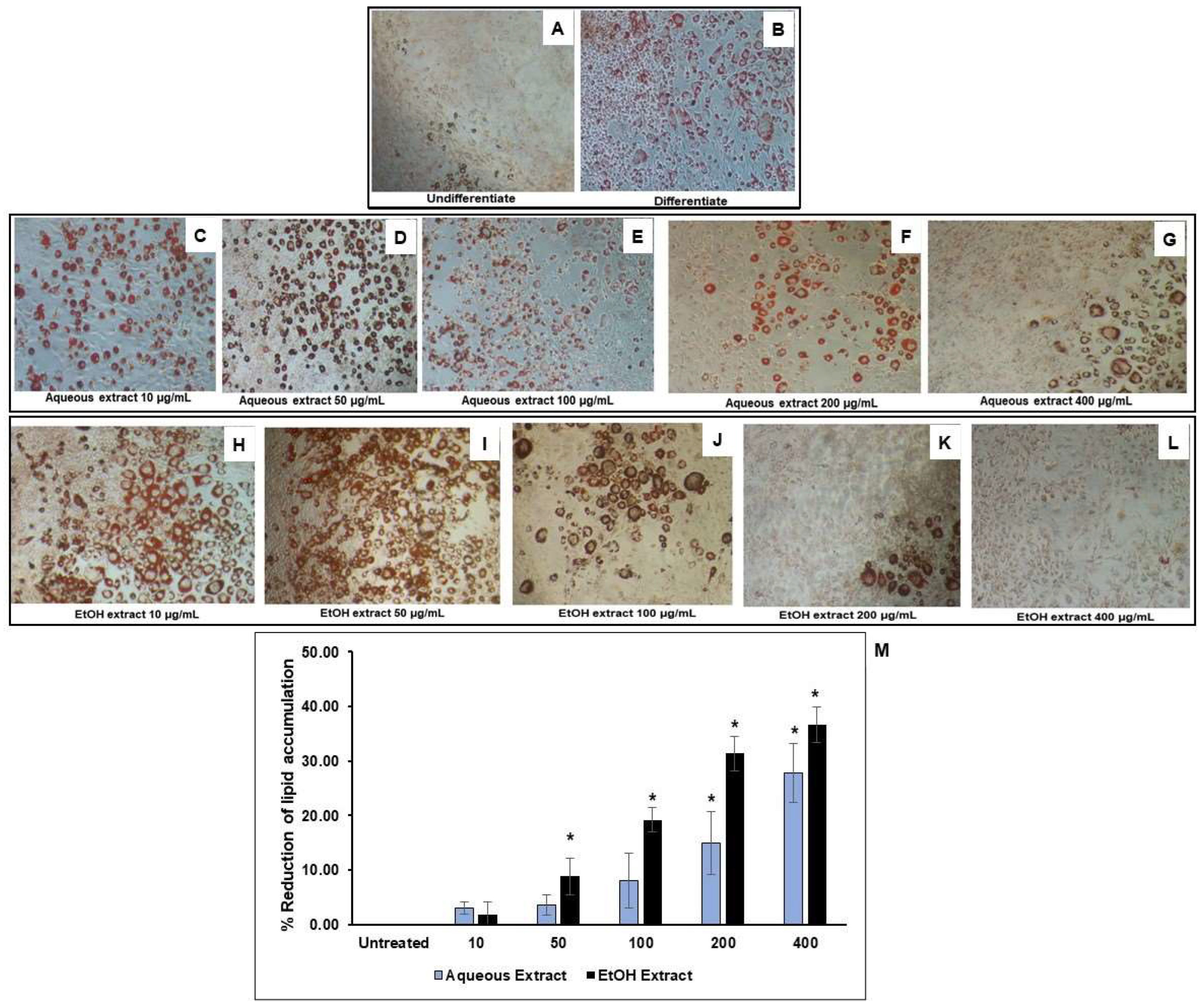 sato An Evaluation of the Anti-Inflammatory Effects of a Thai