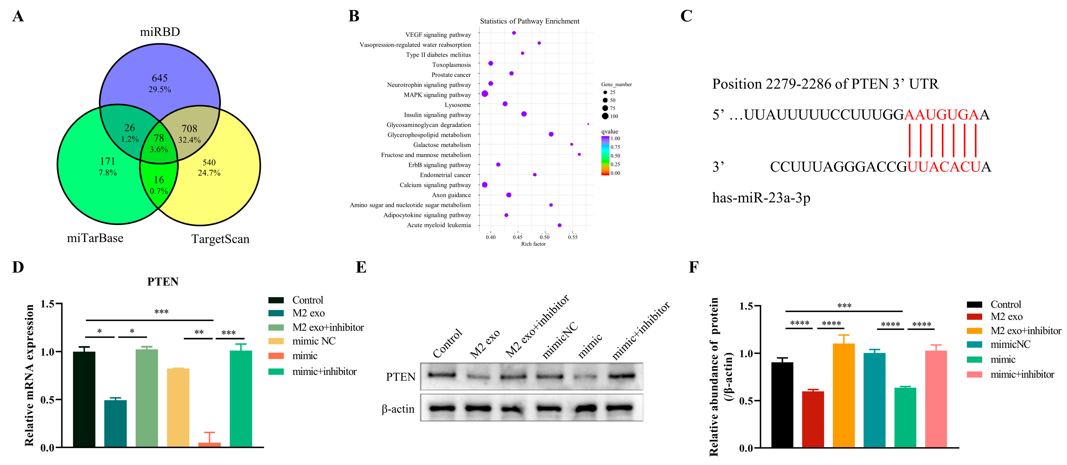 Cimb 45 00314 g004 Cimb 45 00314 g004
