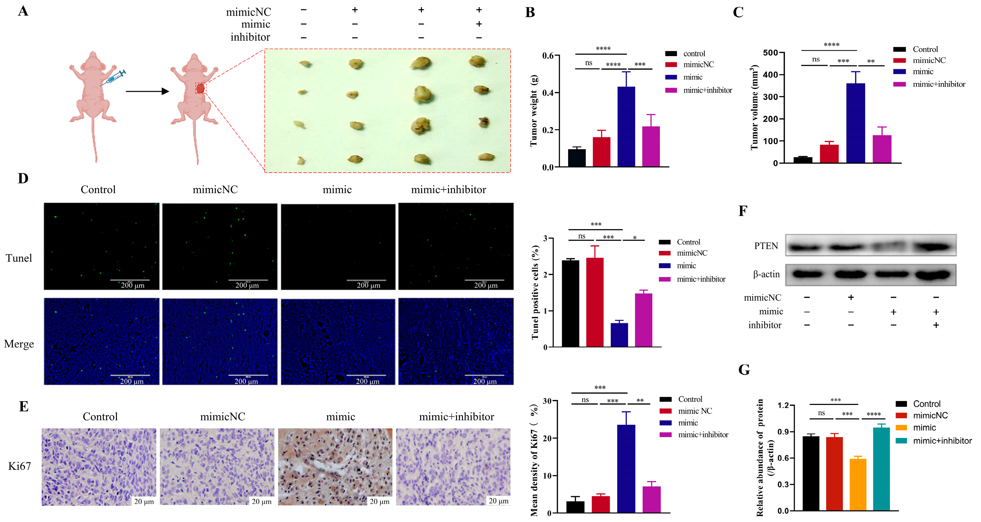 Cimb 45 00314 g005 Cimb 45 00314 g005
