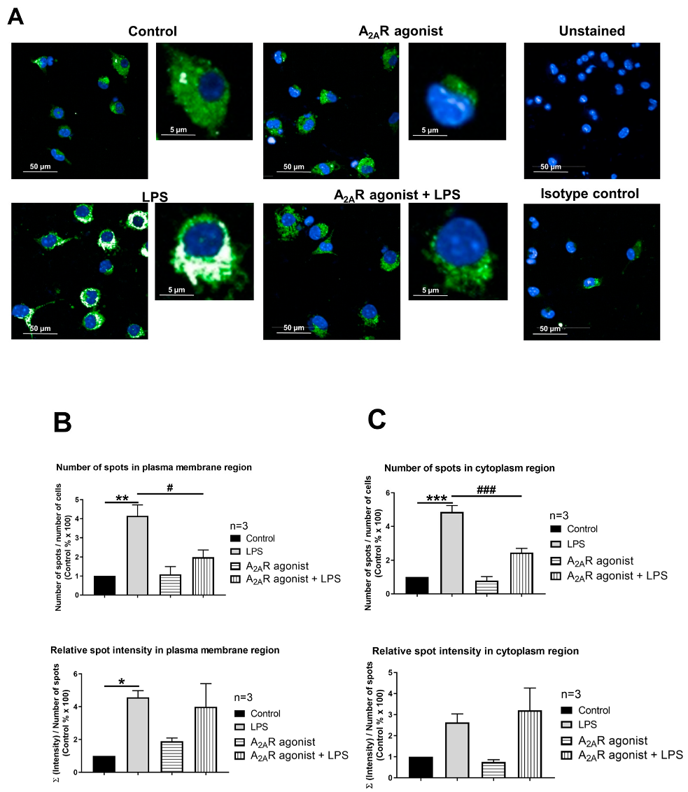 Cimb 45 00315 g007 Cimb 45 00315 g007