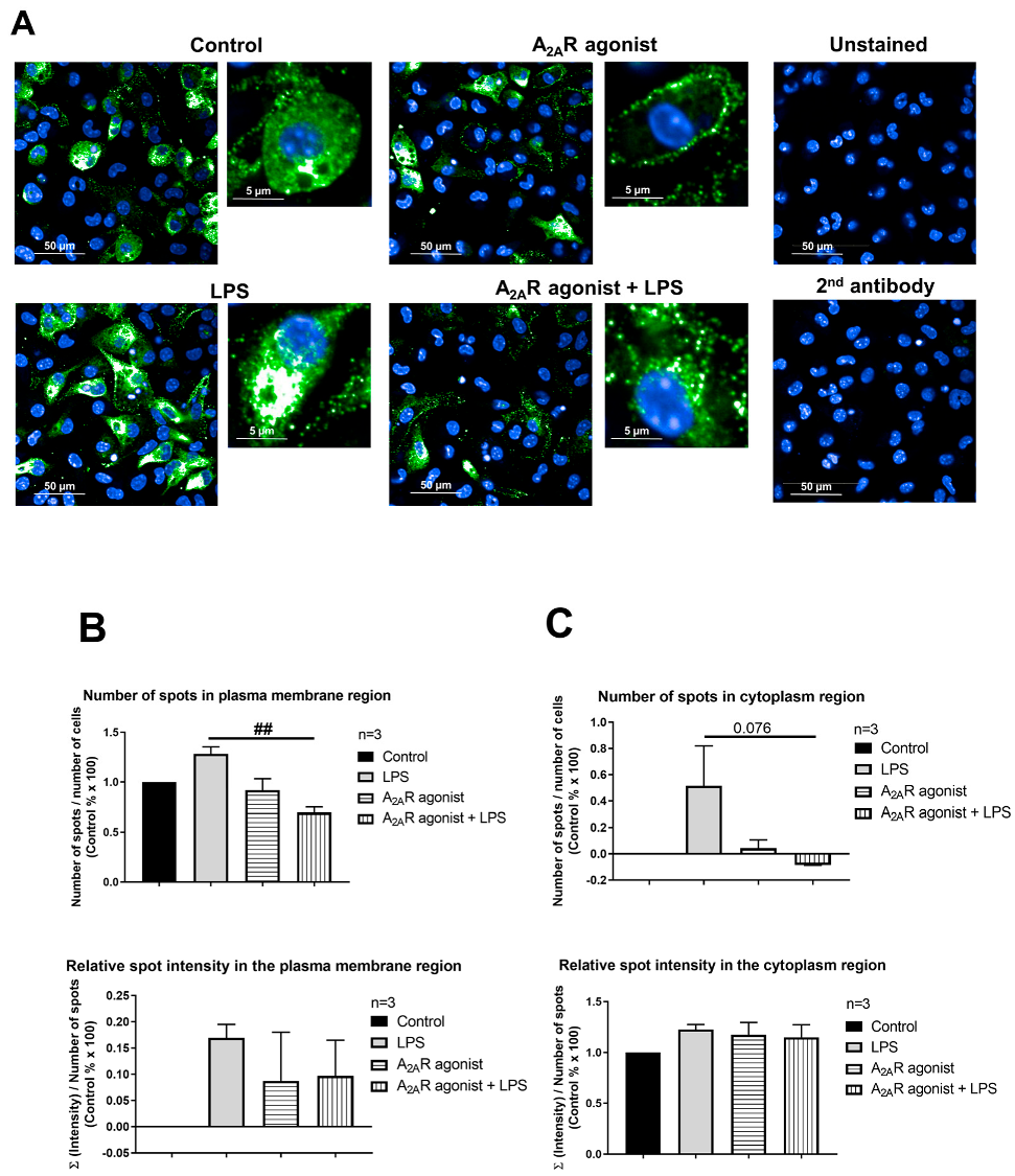 Cimb 45 00315 g008 Cimb 45 00315 g008