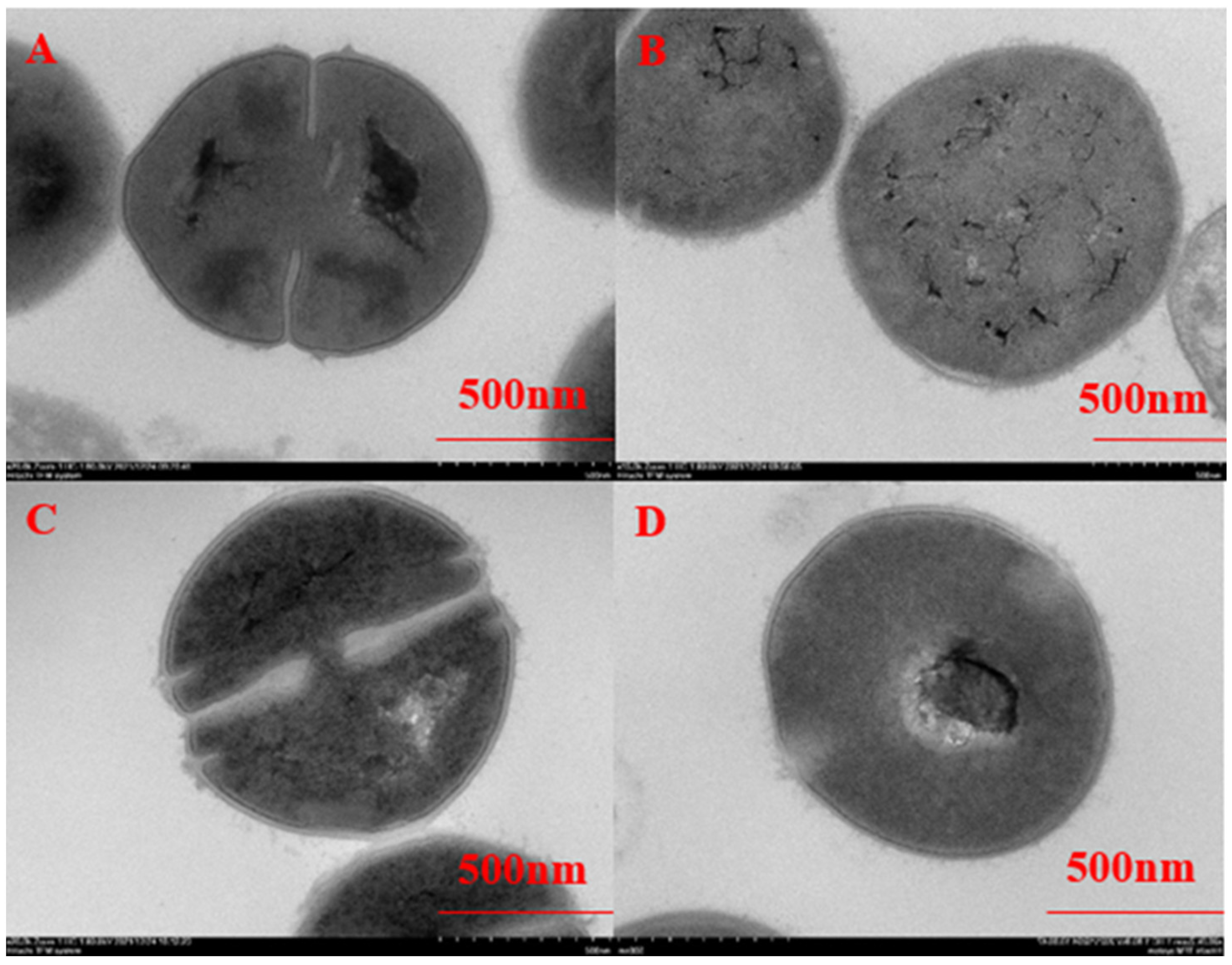 Cimb 45 00326 g002 Cimb 45 00326 g002