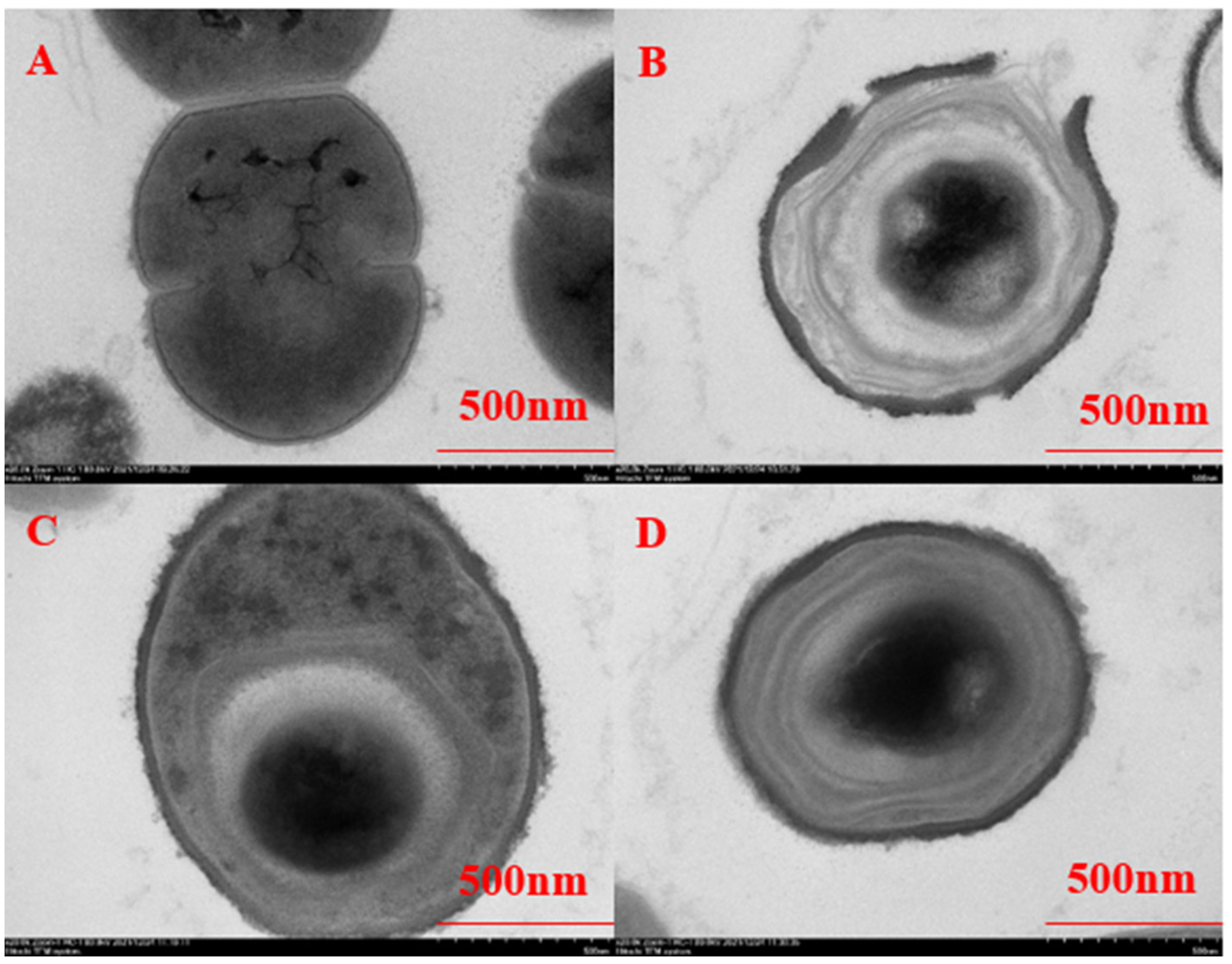 Cimb 45 00326 g003 Cimb 45 00326 g003