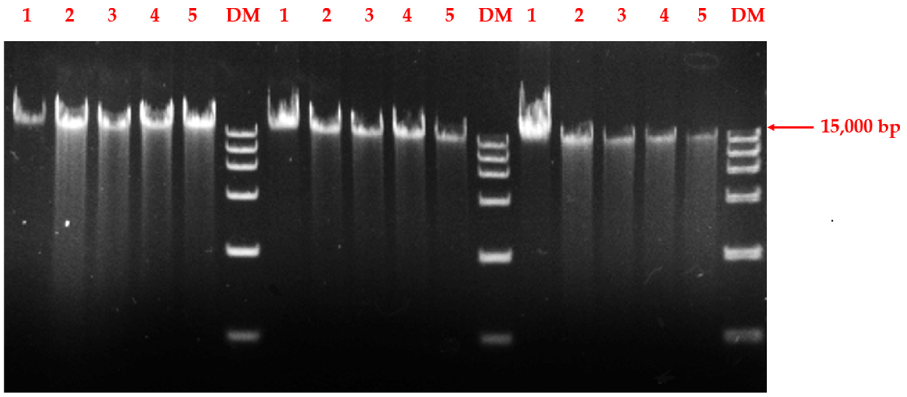 Cimb 45 00326 g008 Cimb 45 00326 g008