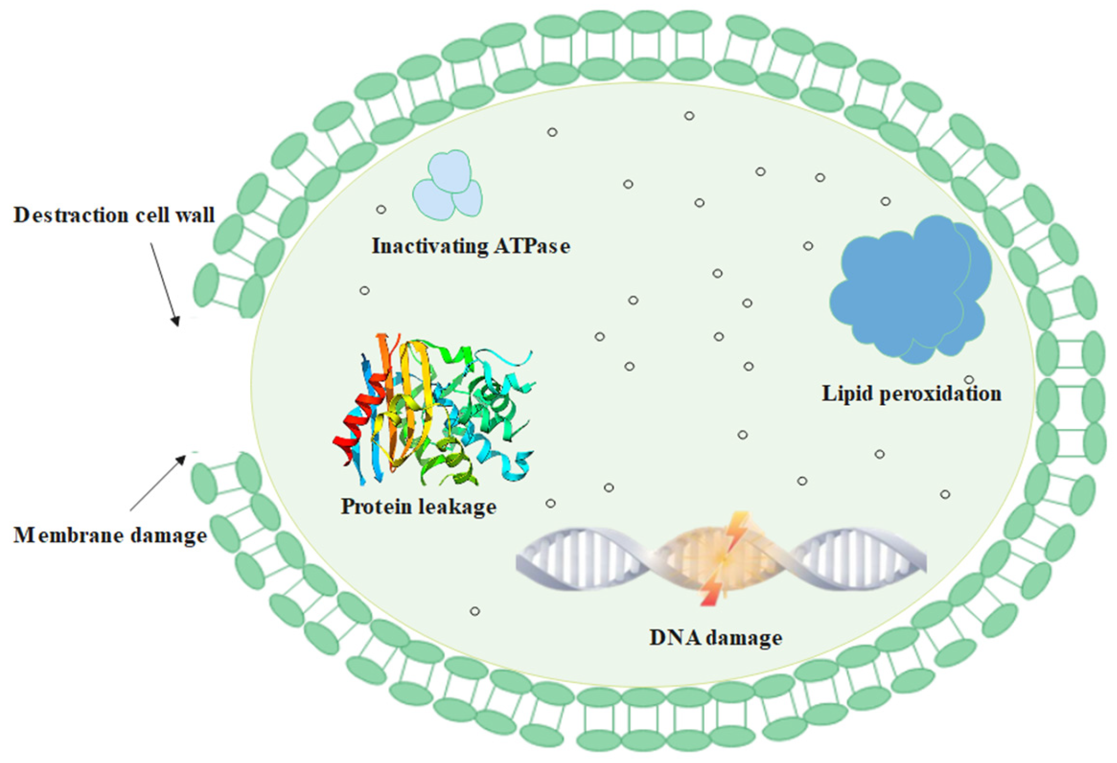Cimb 45 00326 g009 Cimb 45 00326 g009