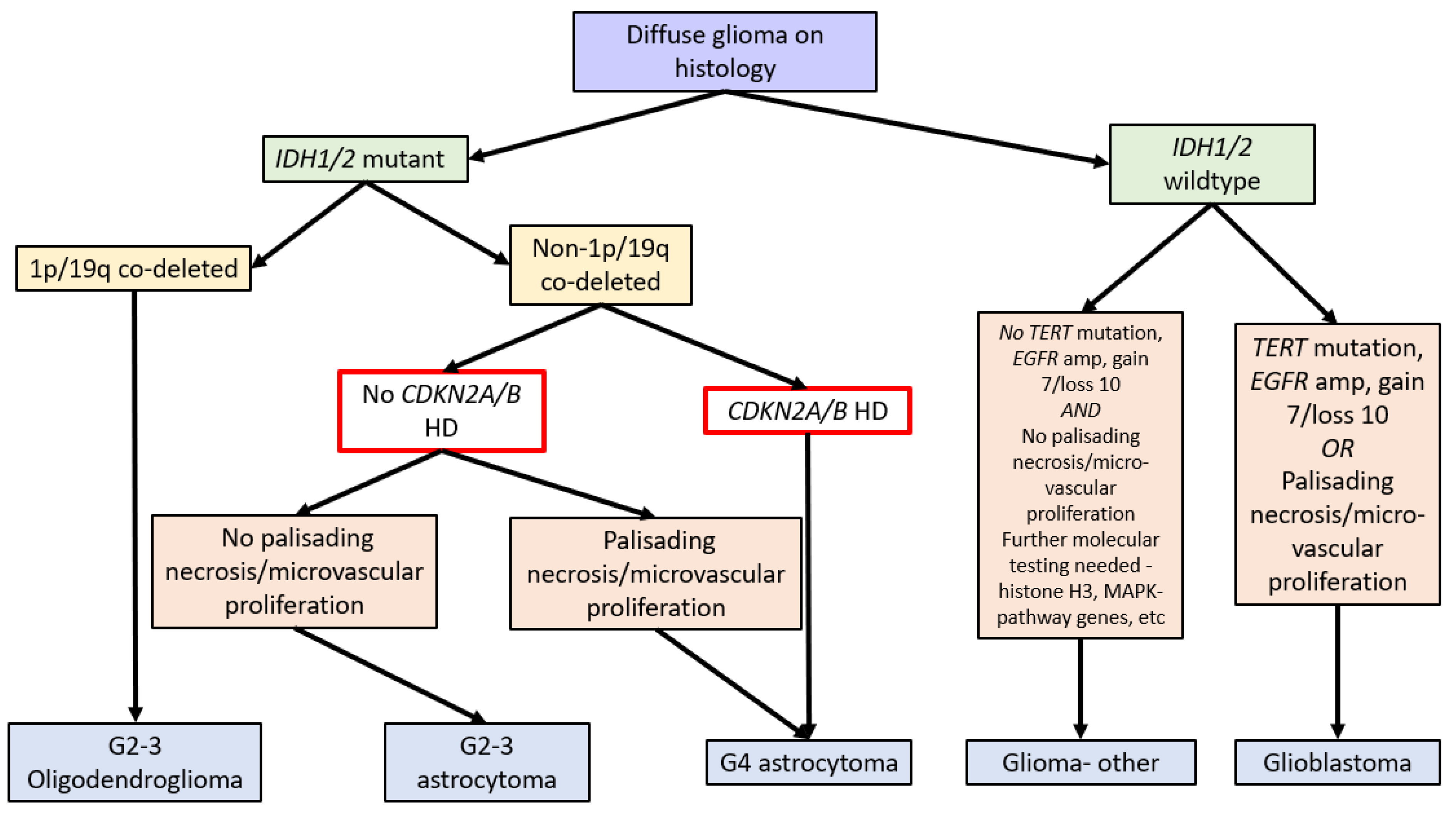 CDKN2A/B Homozygous Deletions in Astrocytomas: A Literature