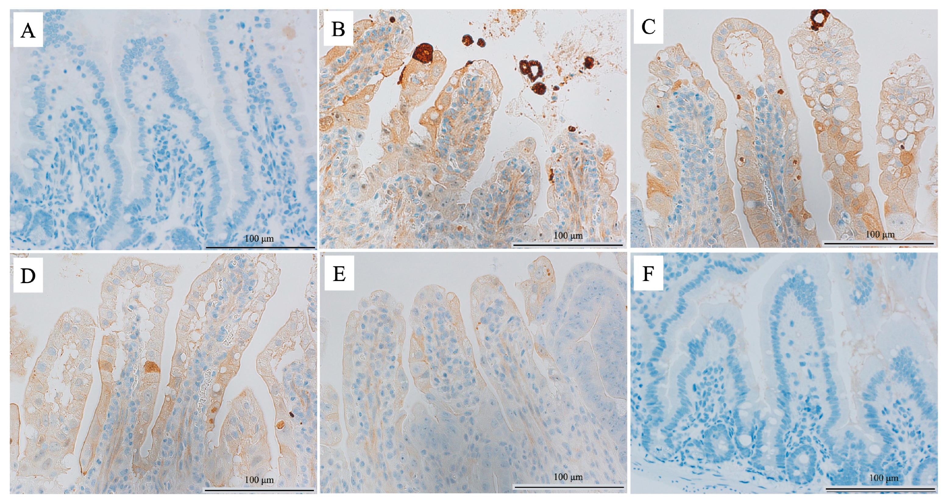 Cimb 45 00340 g005 Cimb 45 00340 g005