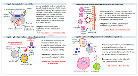 Selected Technical Aspects of Molecular Allergy Diagnostics