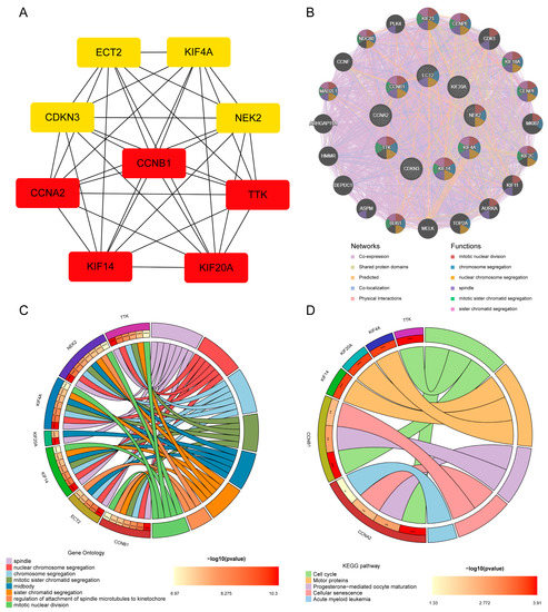 Exploring Key Biomarkers and Common Pathogenesis of Seven