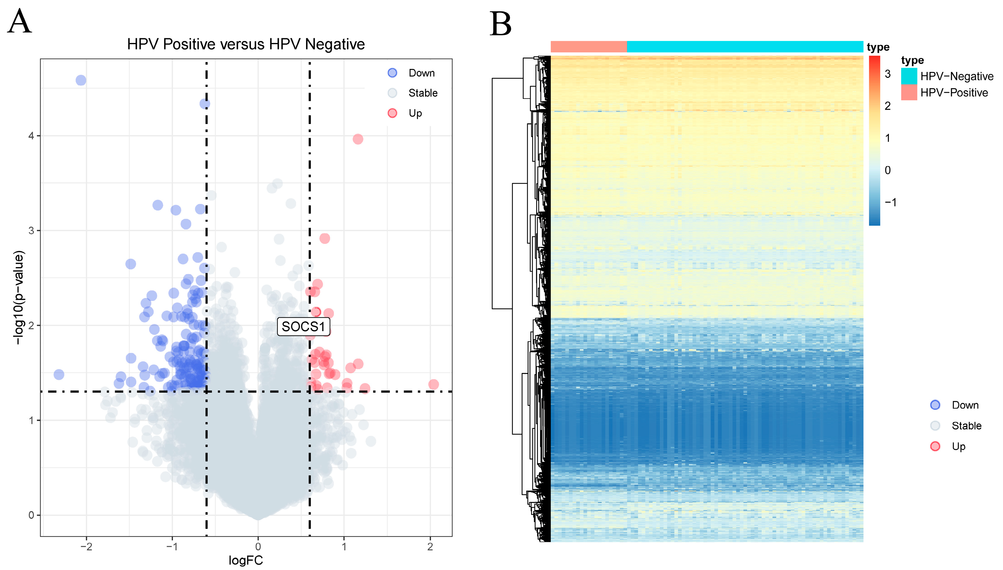 Cimb 45 00353 g002 Cimb 45 00353 g002