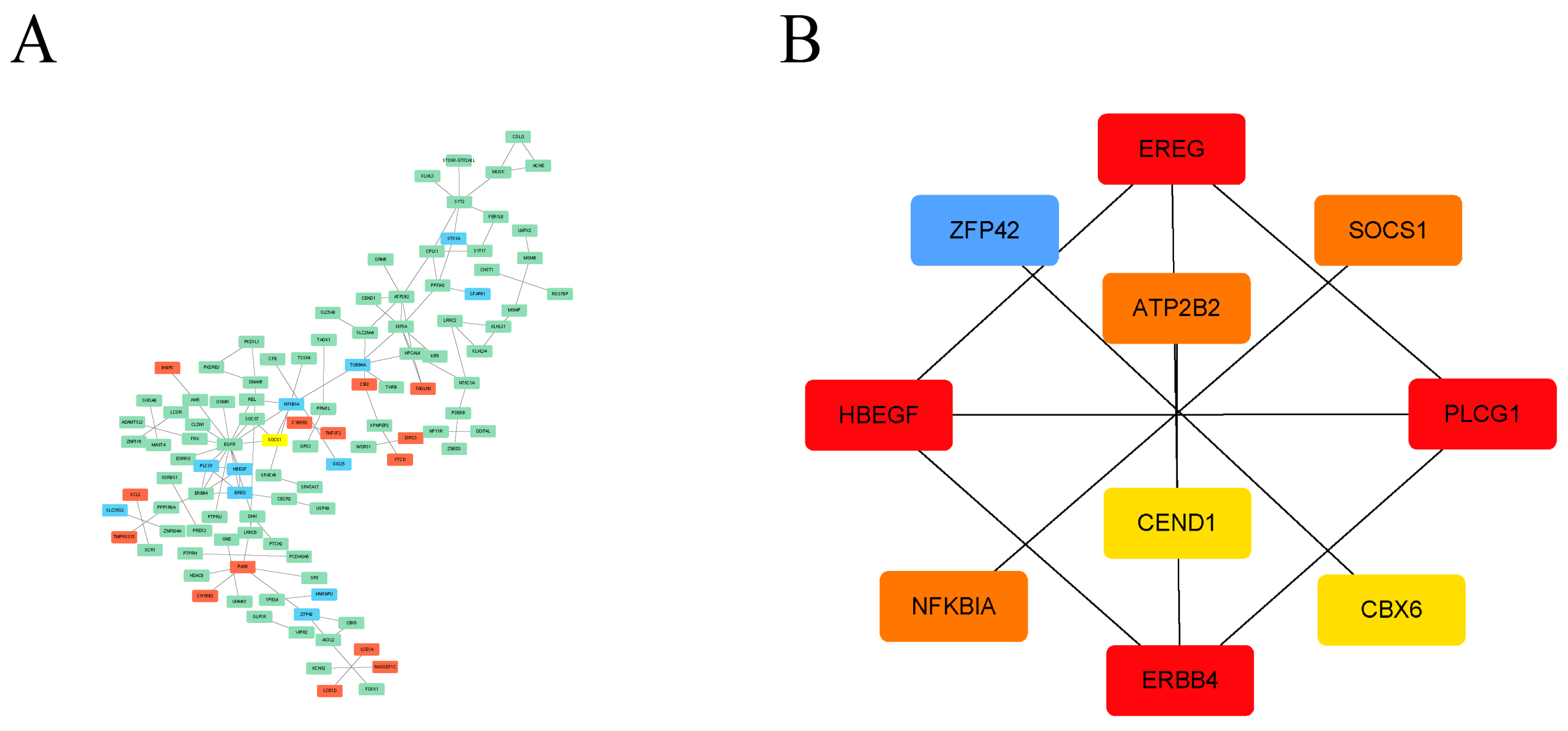Cimb 45 00353 g004 Cimb 45 00353 g004