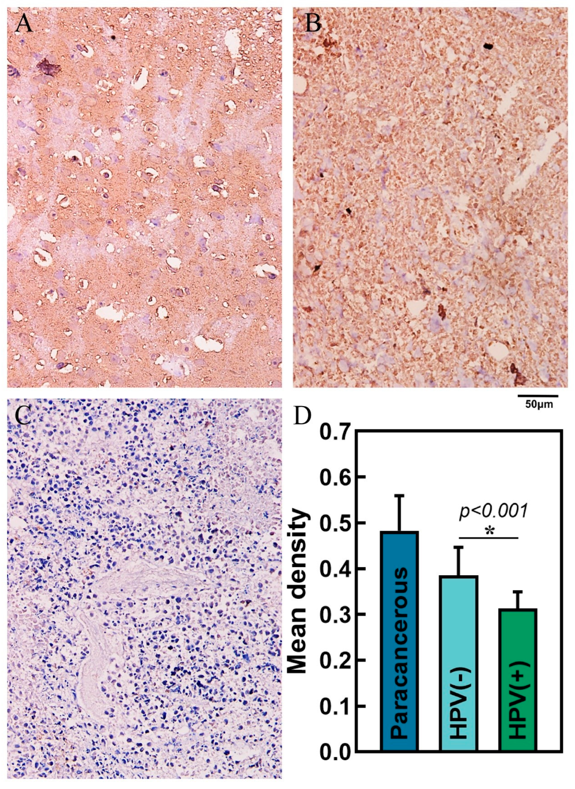 Cimb 45 00353 g009 Cimb 45 00353 g009