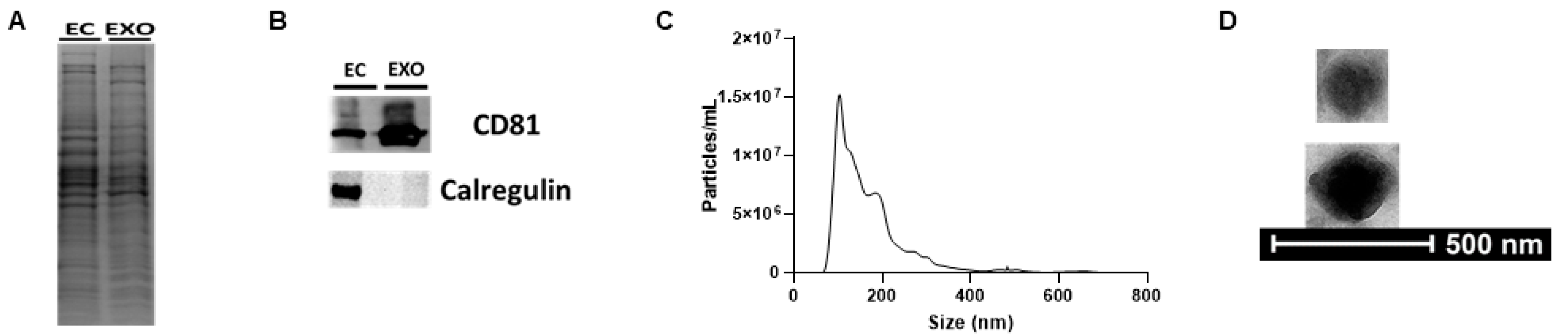 Cimb 45 00355 g001 Cimb 45 00355 g001