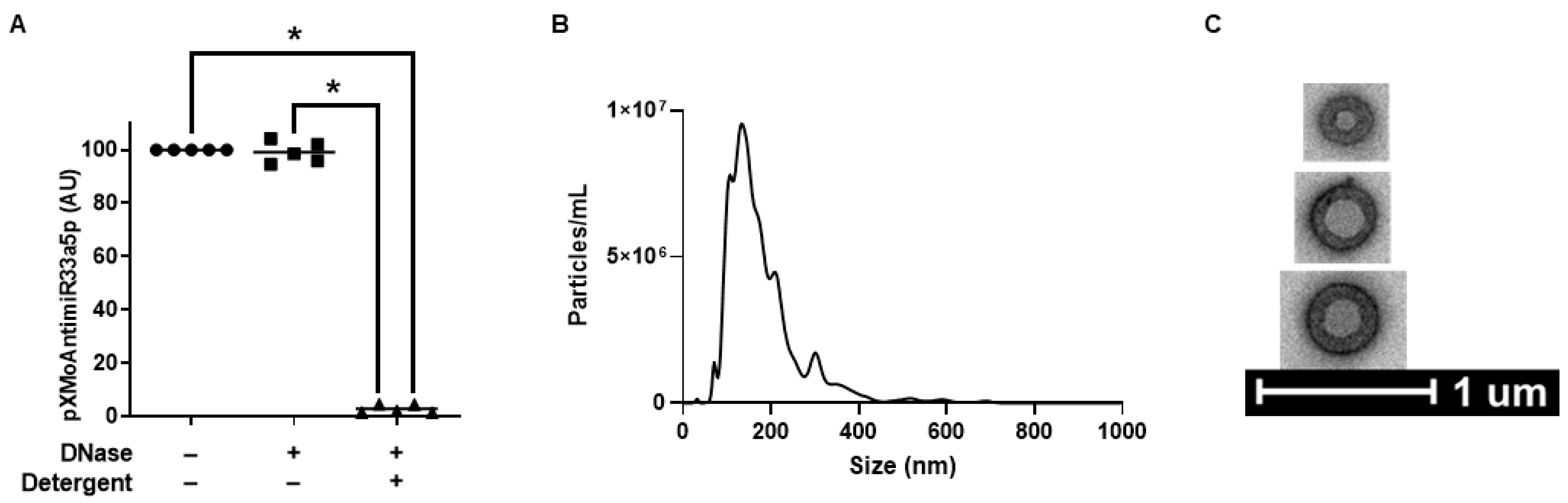 Cimb 45 00355 g002 Cimb 45 00355 g002