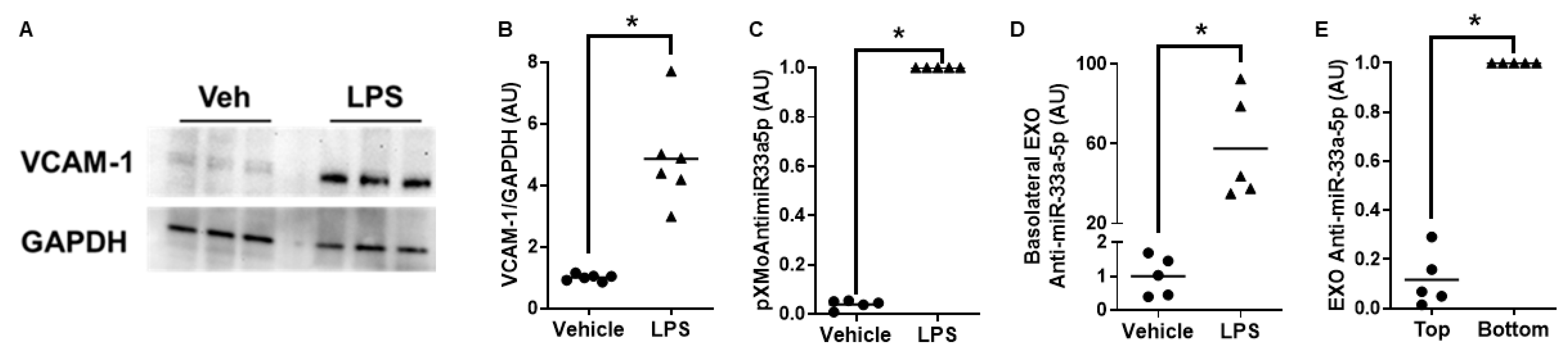 Cimb 45 00355 g003 Cimb 45 00355 g003