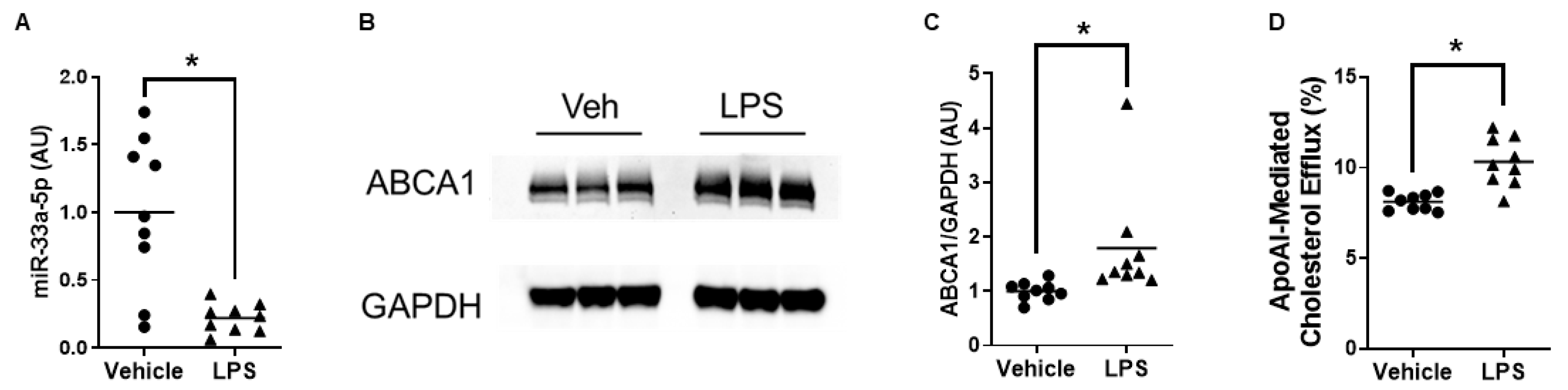 Cimb 45 00355 g004 Cimb 45 00355 g004