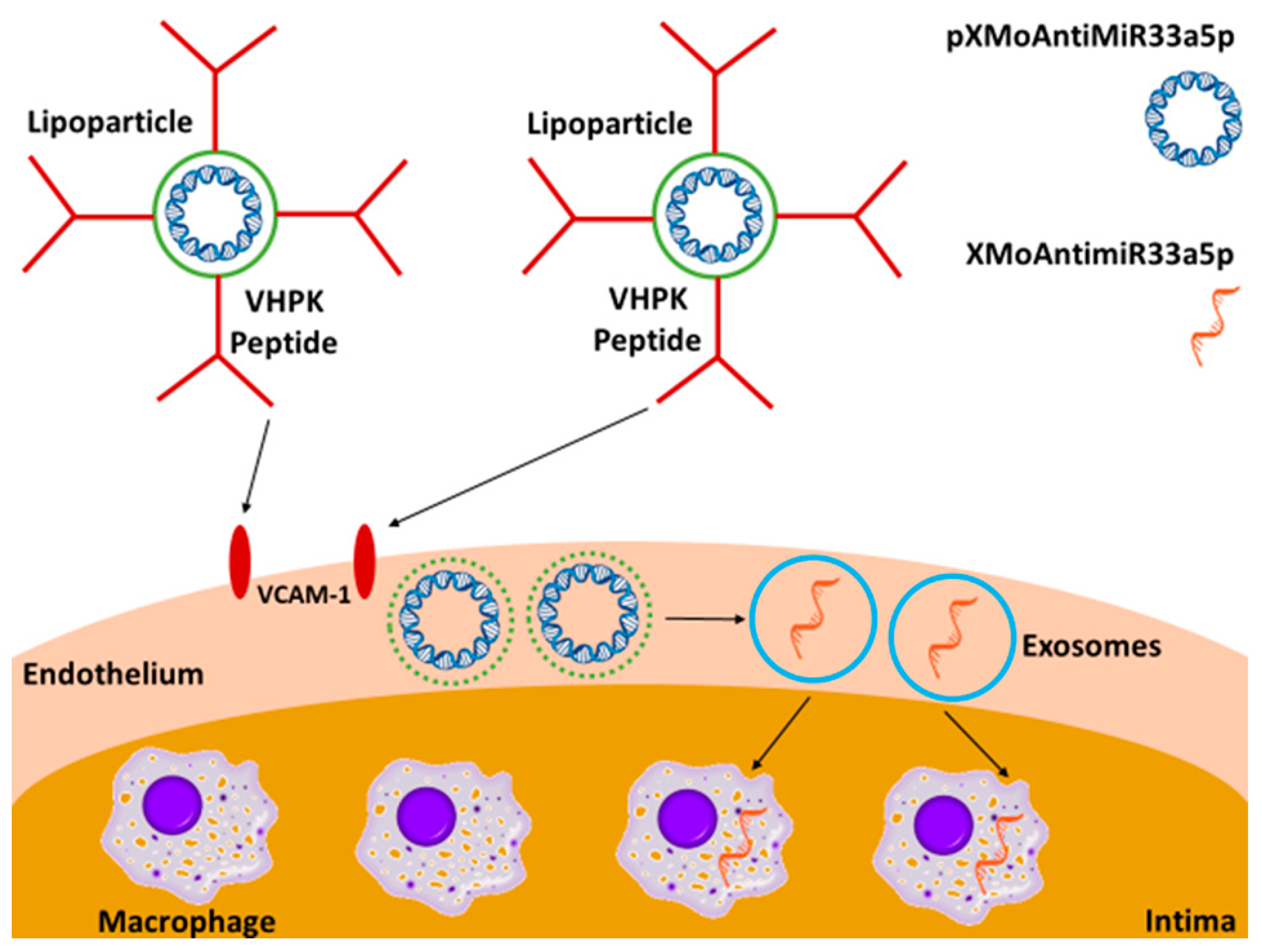 Cimb 45 00355 g005 Cimb 45 00355 g005