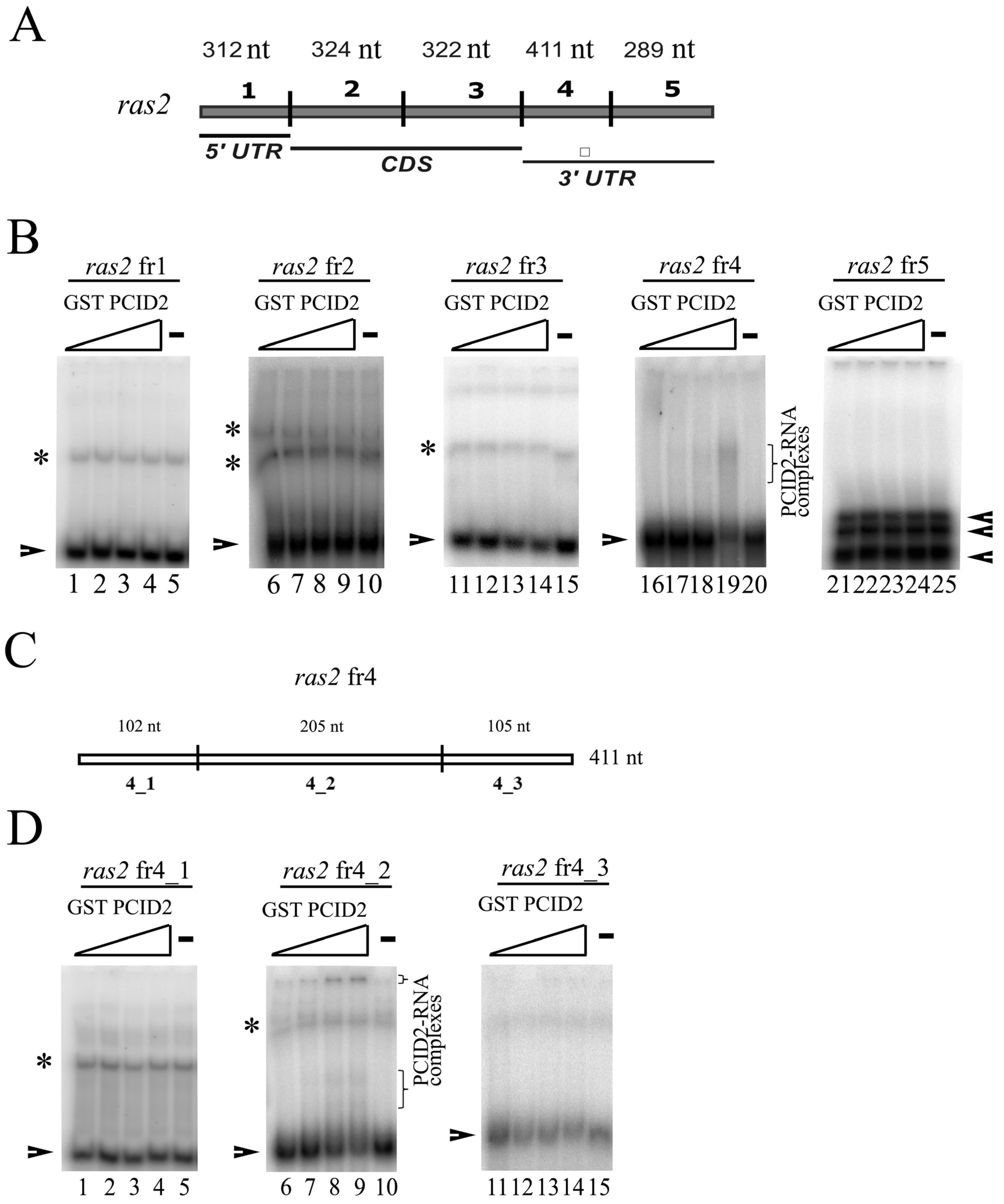 Cimb 45 00357 g001 Cimb 45 00357 g001