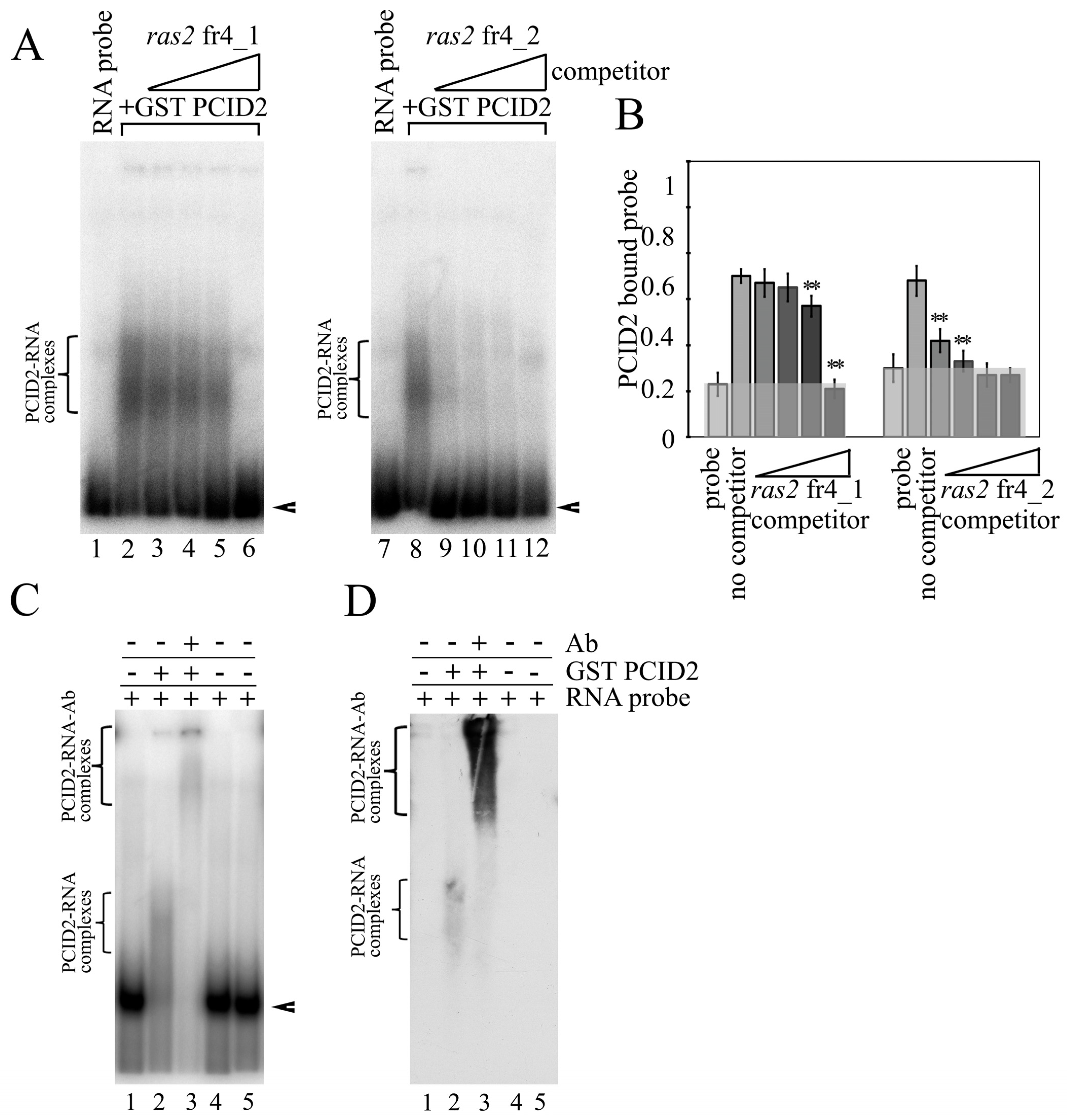 Cimb 45 00357 g002 Cimb 45 00357 g002