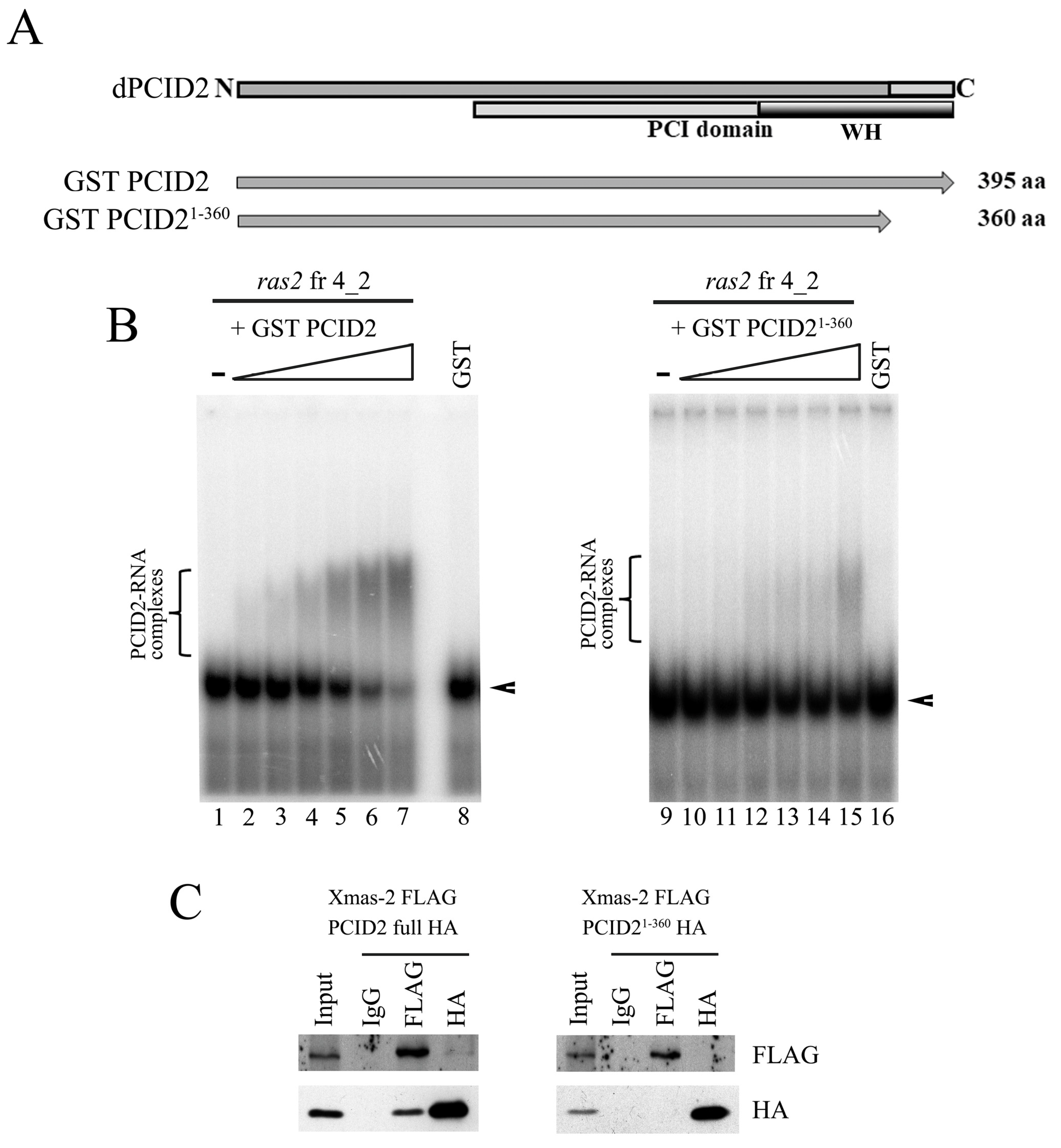 Cimb 45 00357 g003 Cimb 45 00357 g003