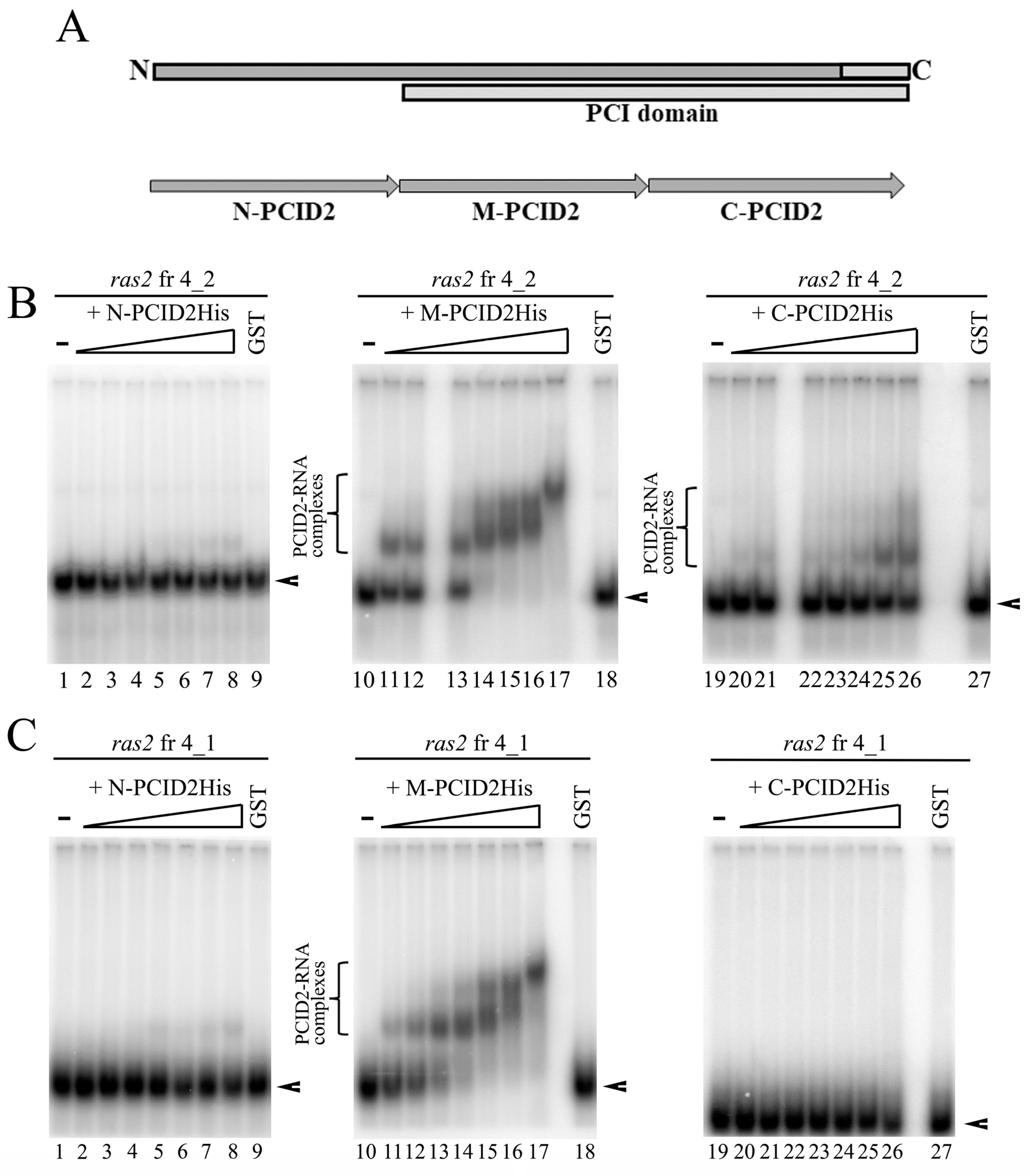 Cimb 45 00357 g004 Cimb 45 00357 g004