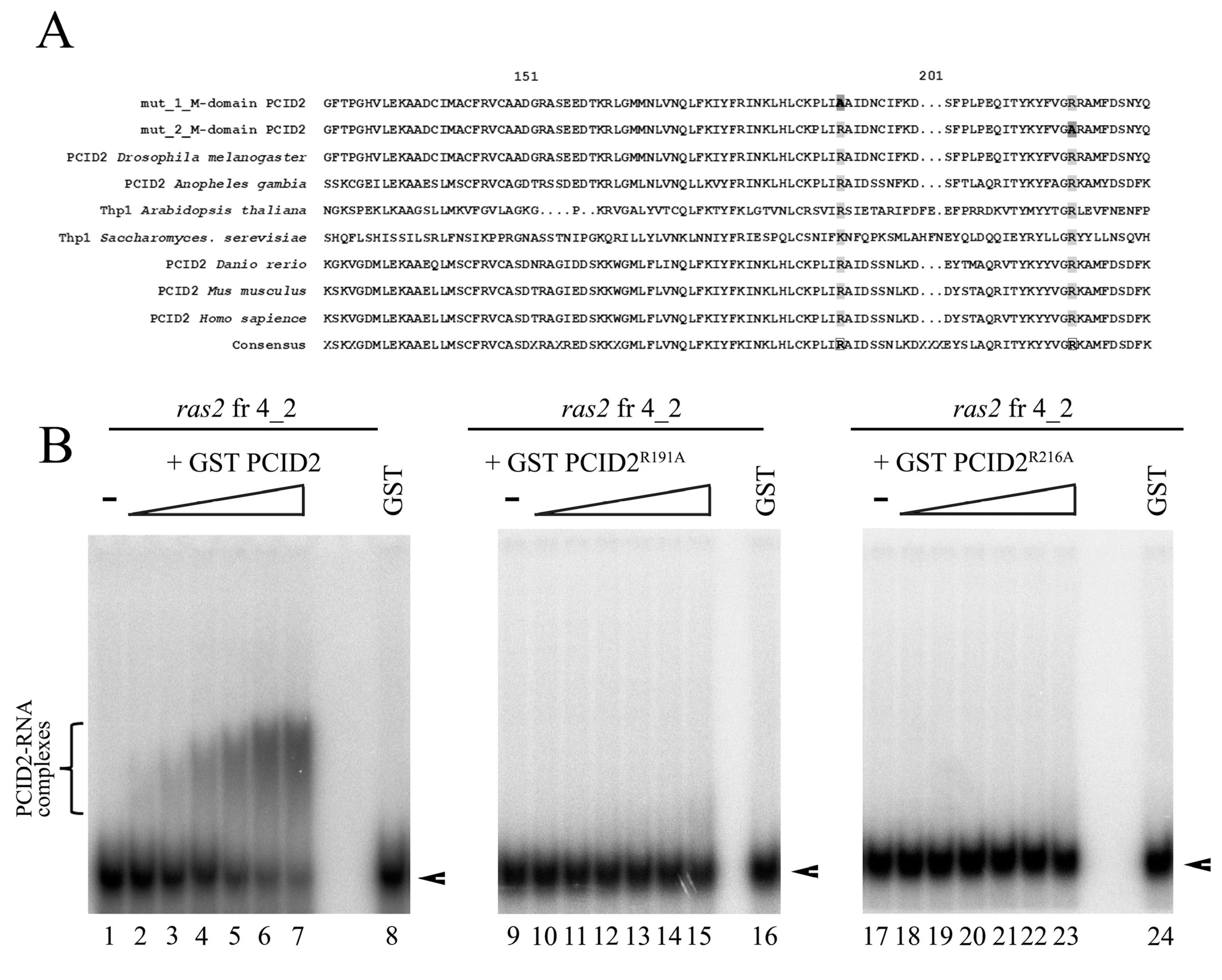 Cimb 45 00357 g005 Cimb 45 00357 g005
