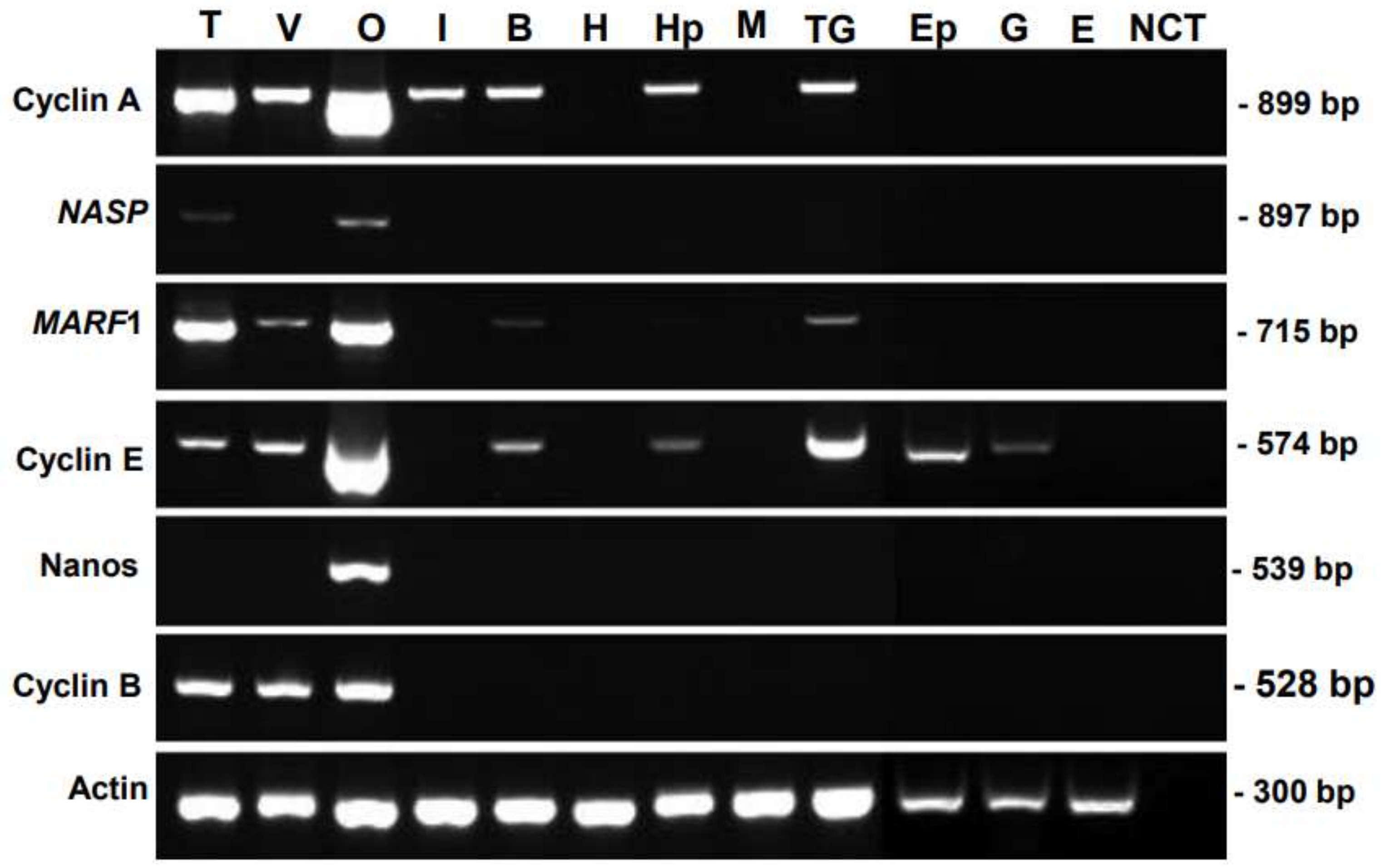 Cimb 45 00360 g001 Cimb 45 00360 g001